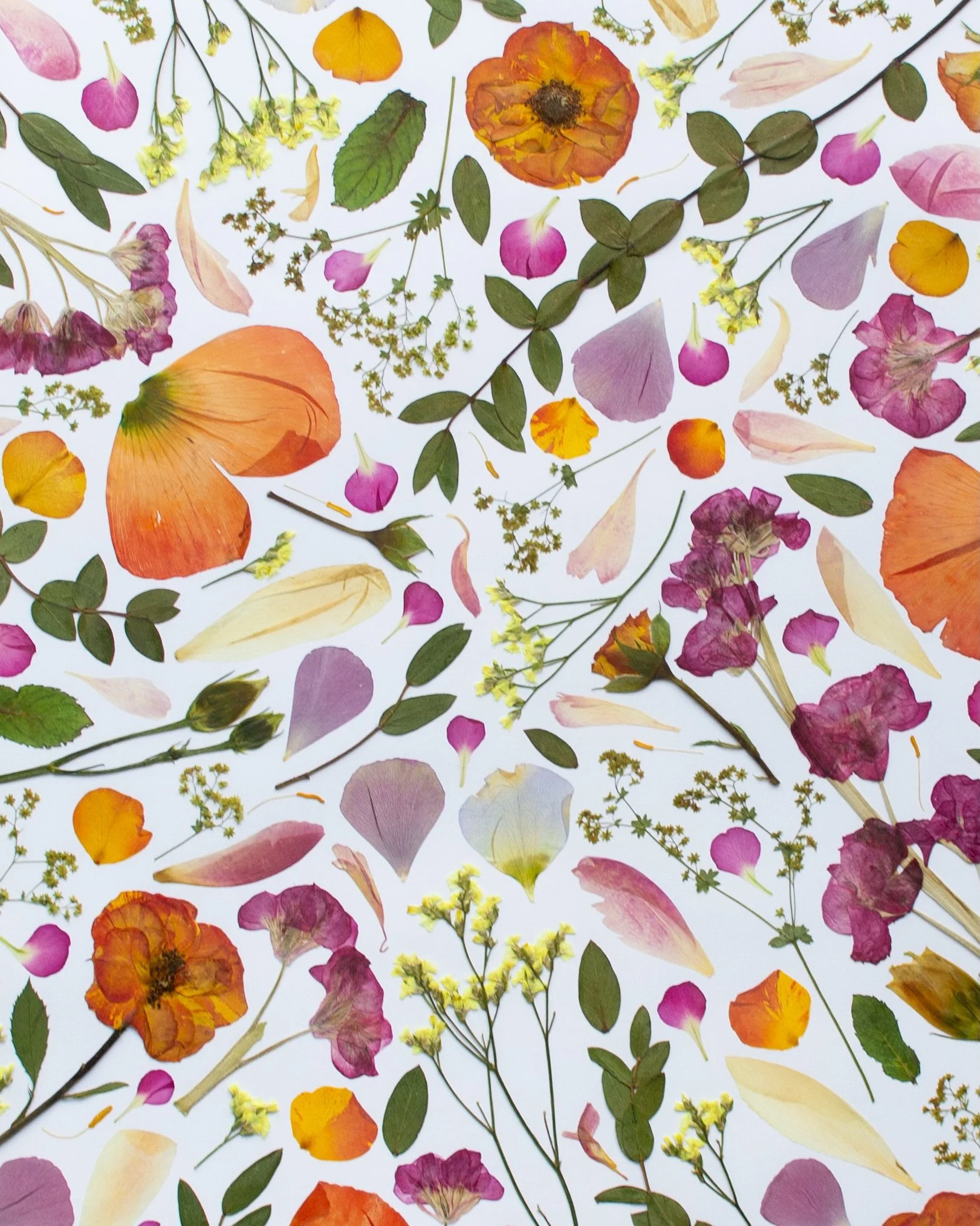Pressed flowers in my Signature collage style. 💕 Flower pressing is good for the soul!