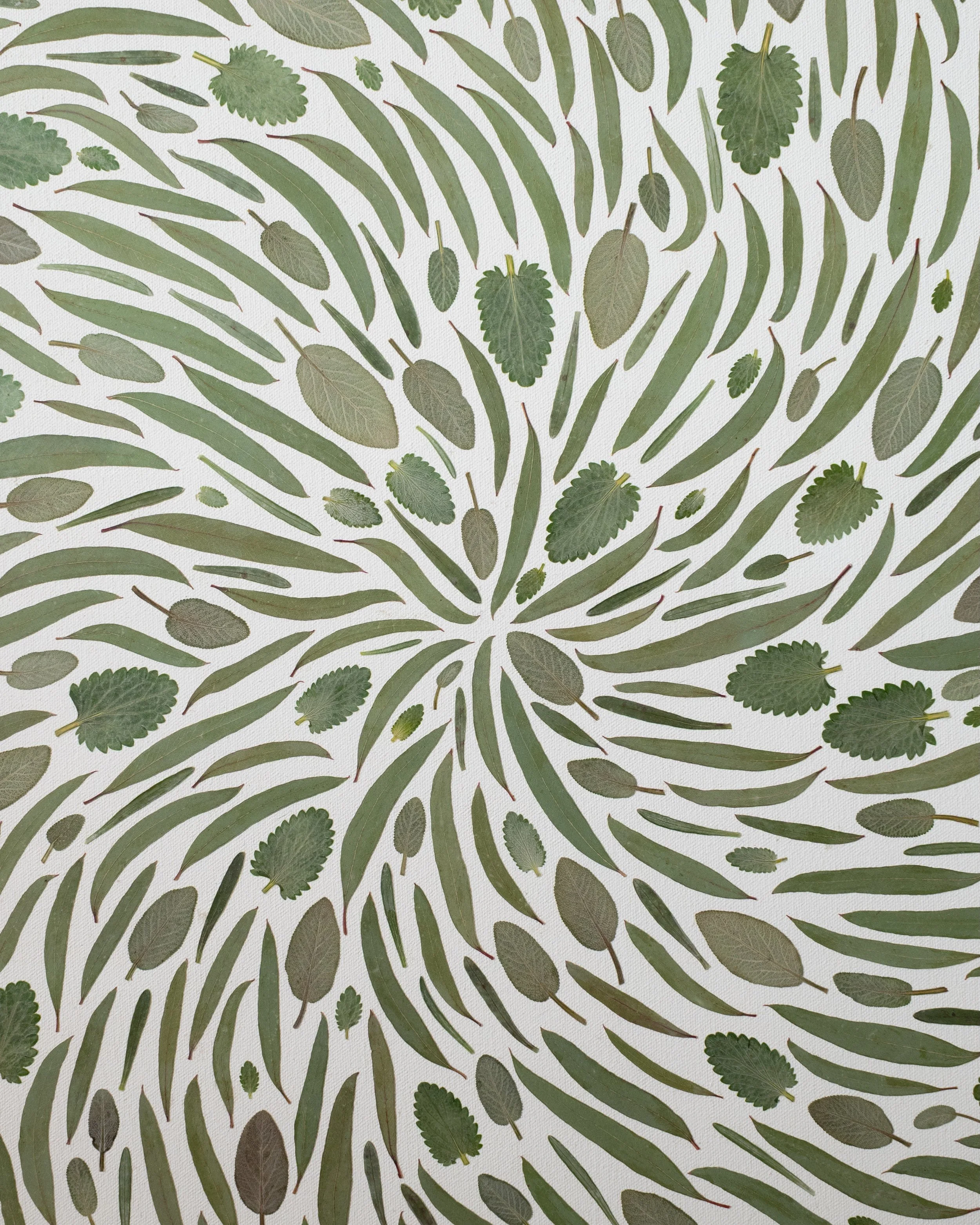 Calm. 🤍 Bespoke artwork commission created with pressed leaves; sage, eucalyptus, nepeta and lavender.