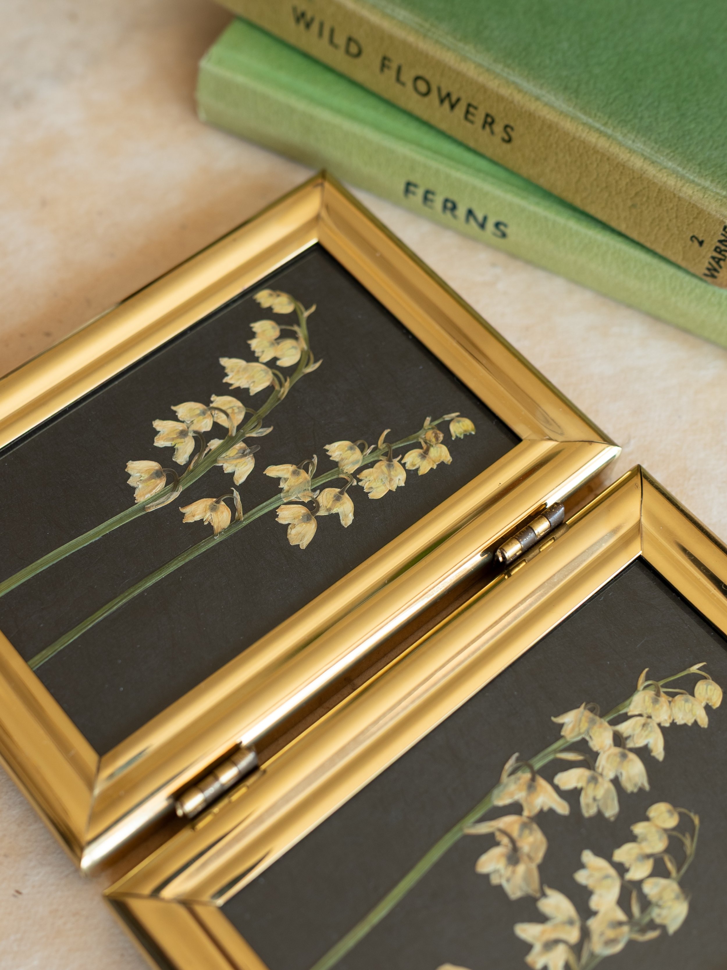 Enchanting pressed flowers in beautiful vintage frames. You&rsquo;ll find these treasures and more in the Meadow and Thyme webshop. 🤍