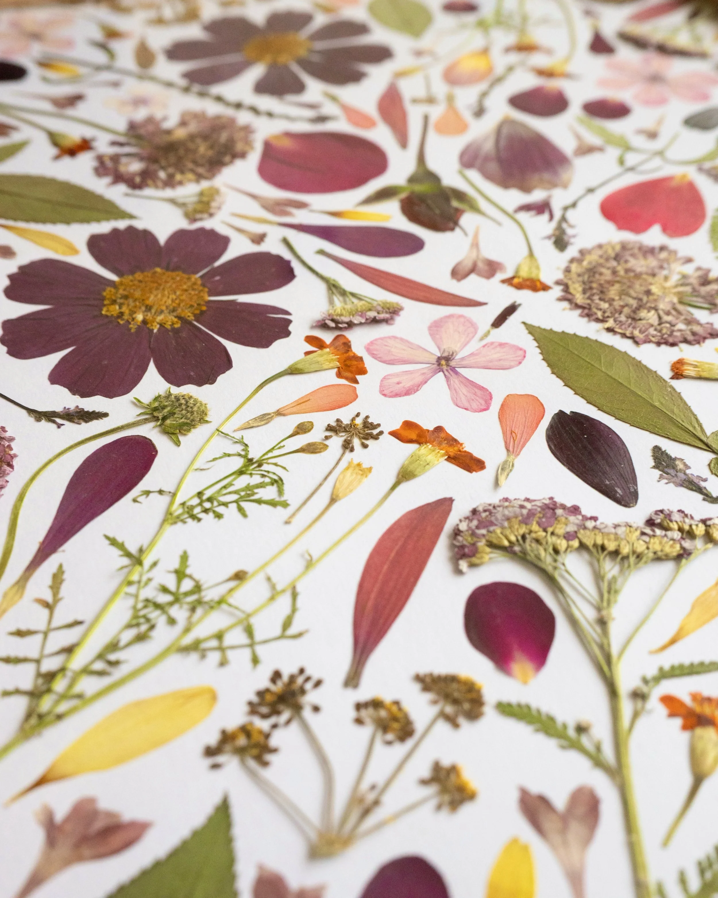 The most gorgeous pressed wedding flowers. 💕

Wedding flowers by @the_hedge
Pressed wedding flower artwork by @meadowandthyme