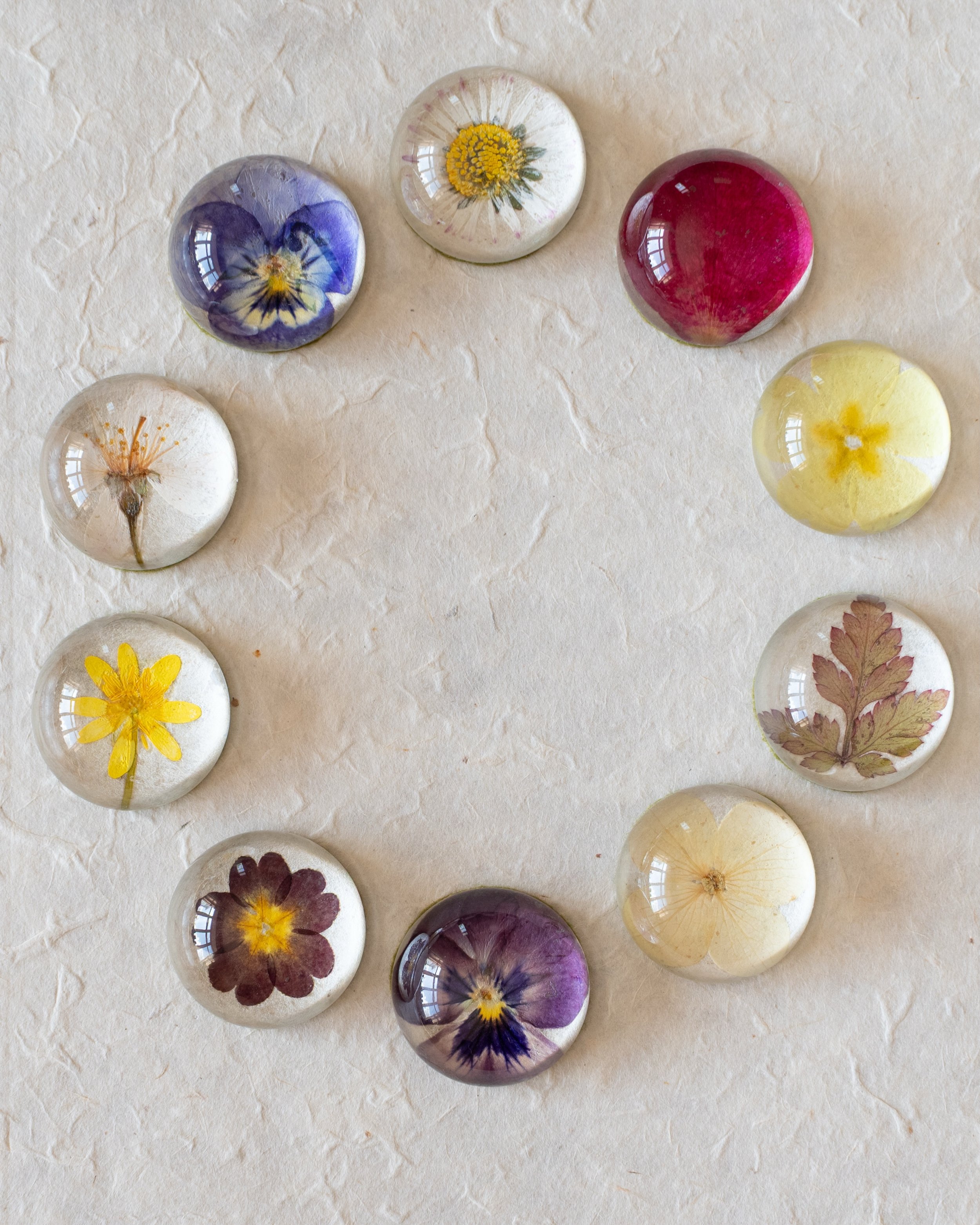 After such a wonderful response to the launch of my pressed flower paperweights, I&rsquo;ve been busy in the studio making some more for you. I&rsquo;m hoping to have these uploaded to my website ready for the weekend - keep an eye on my profile to b