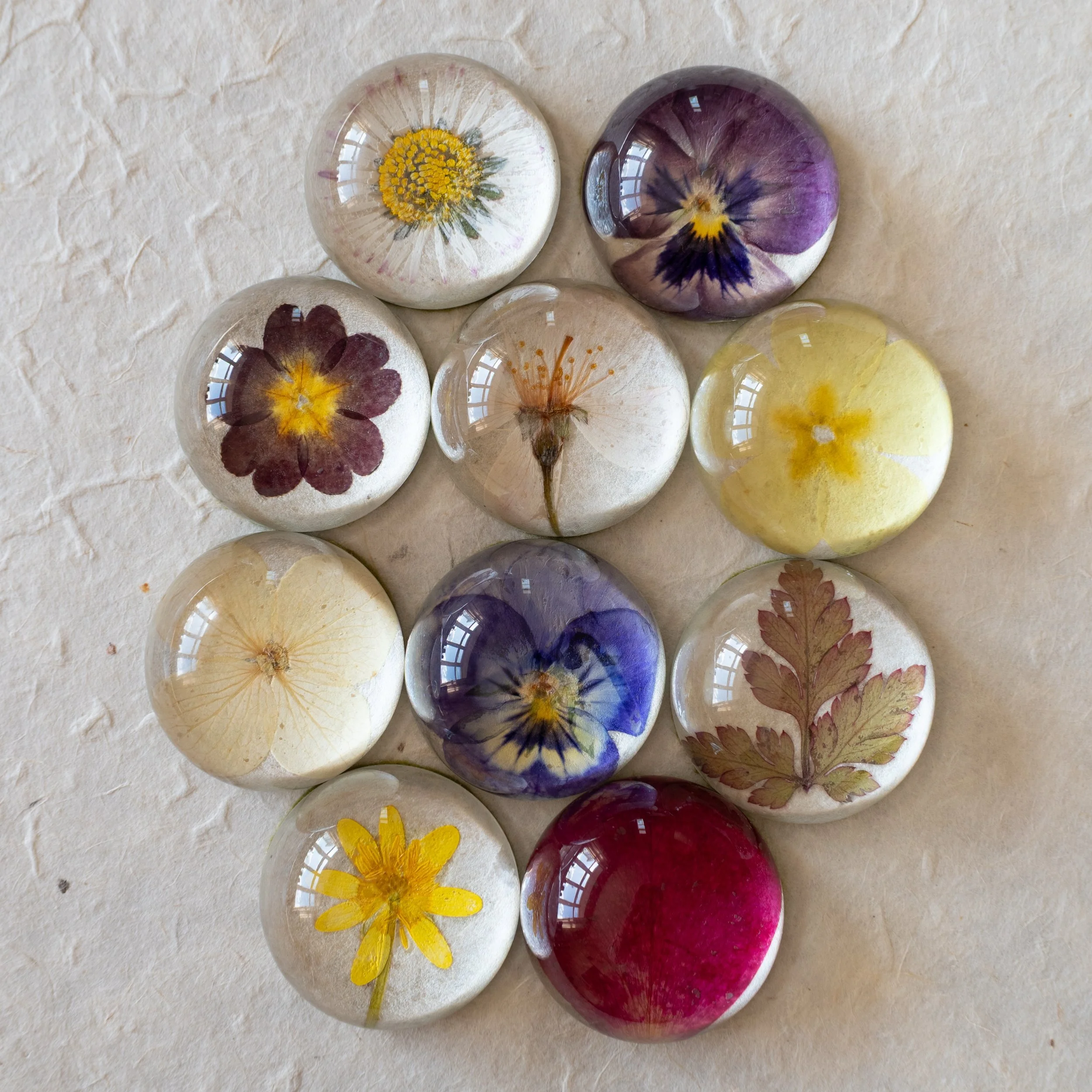 Lots of gorgeous new pressed flower treasures just added to my website. Thank you for creating magic and supporting small businesses. 🤍