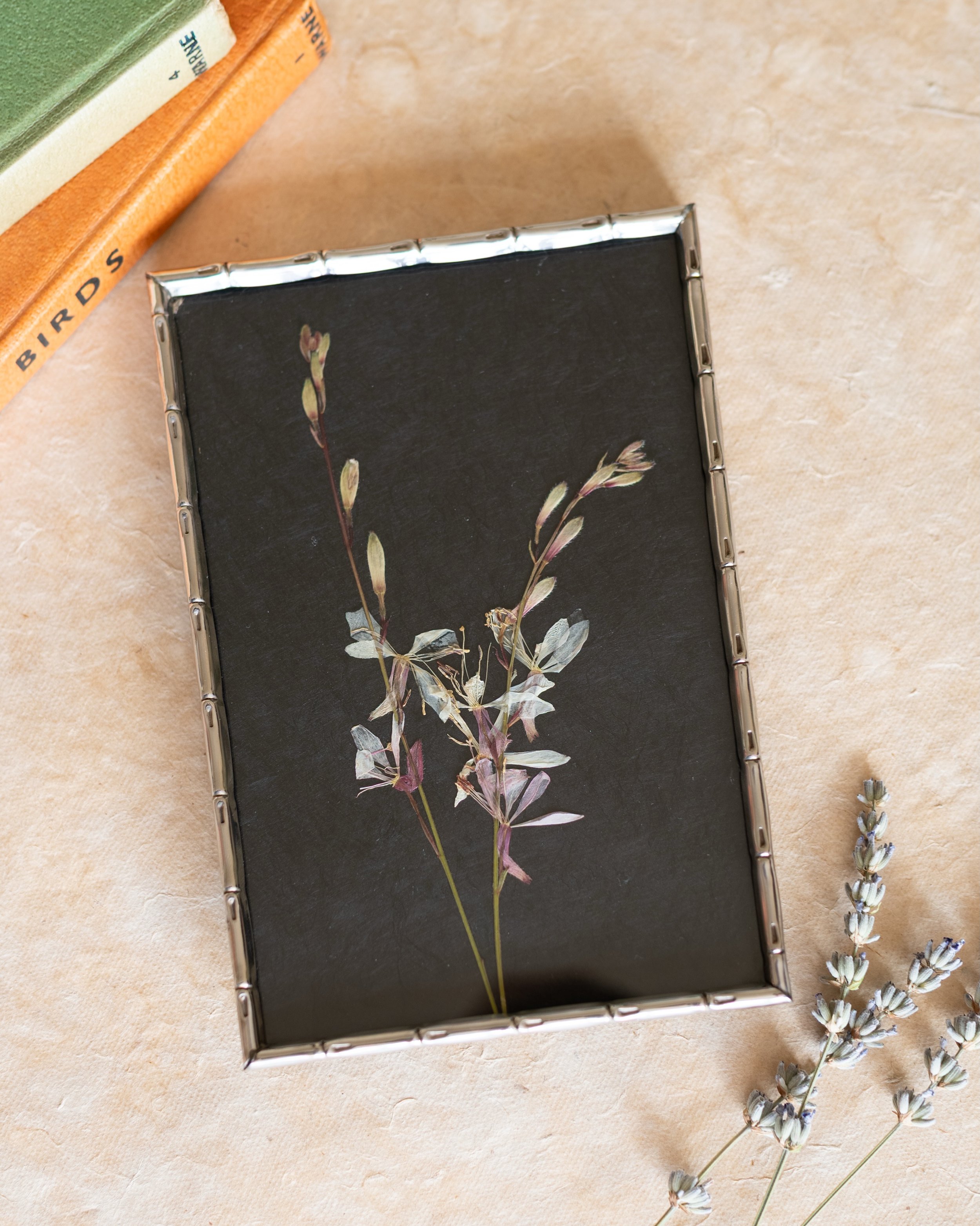 The enchanting beauty of pressed flowers and magical vintage treasures. 🤍