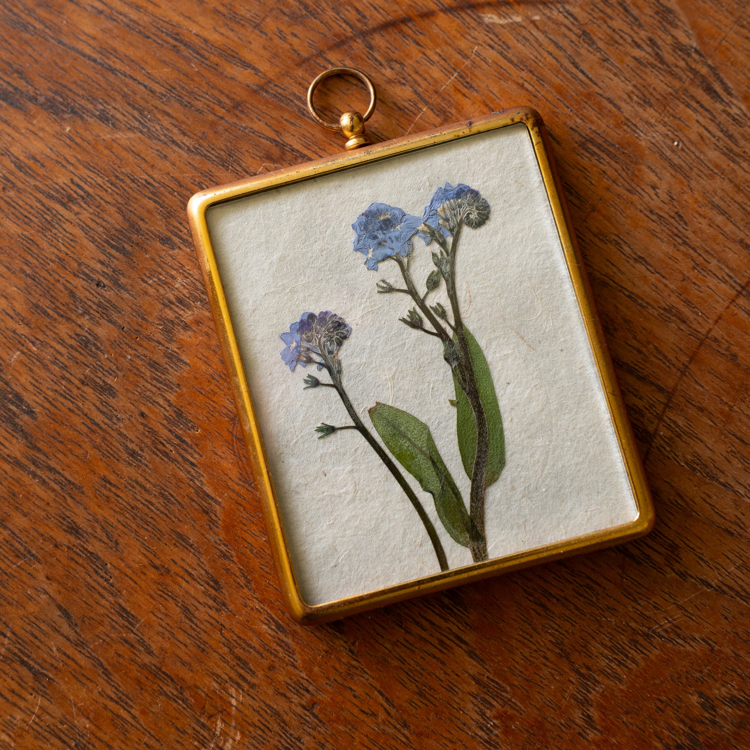 Vintage Collection - Forget-me-not 17