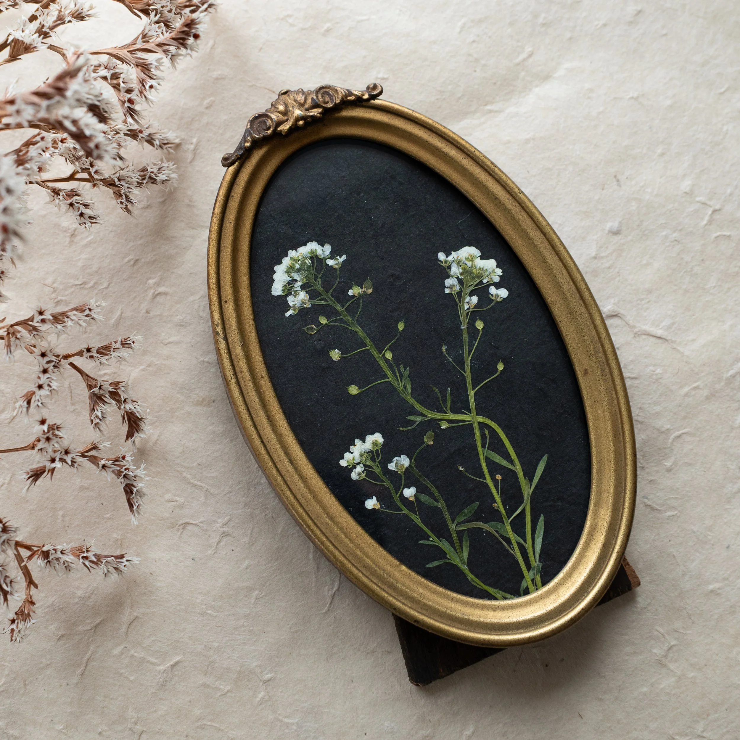 Vintage Collection - Sweet Alyssum 03