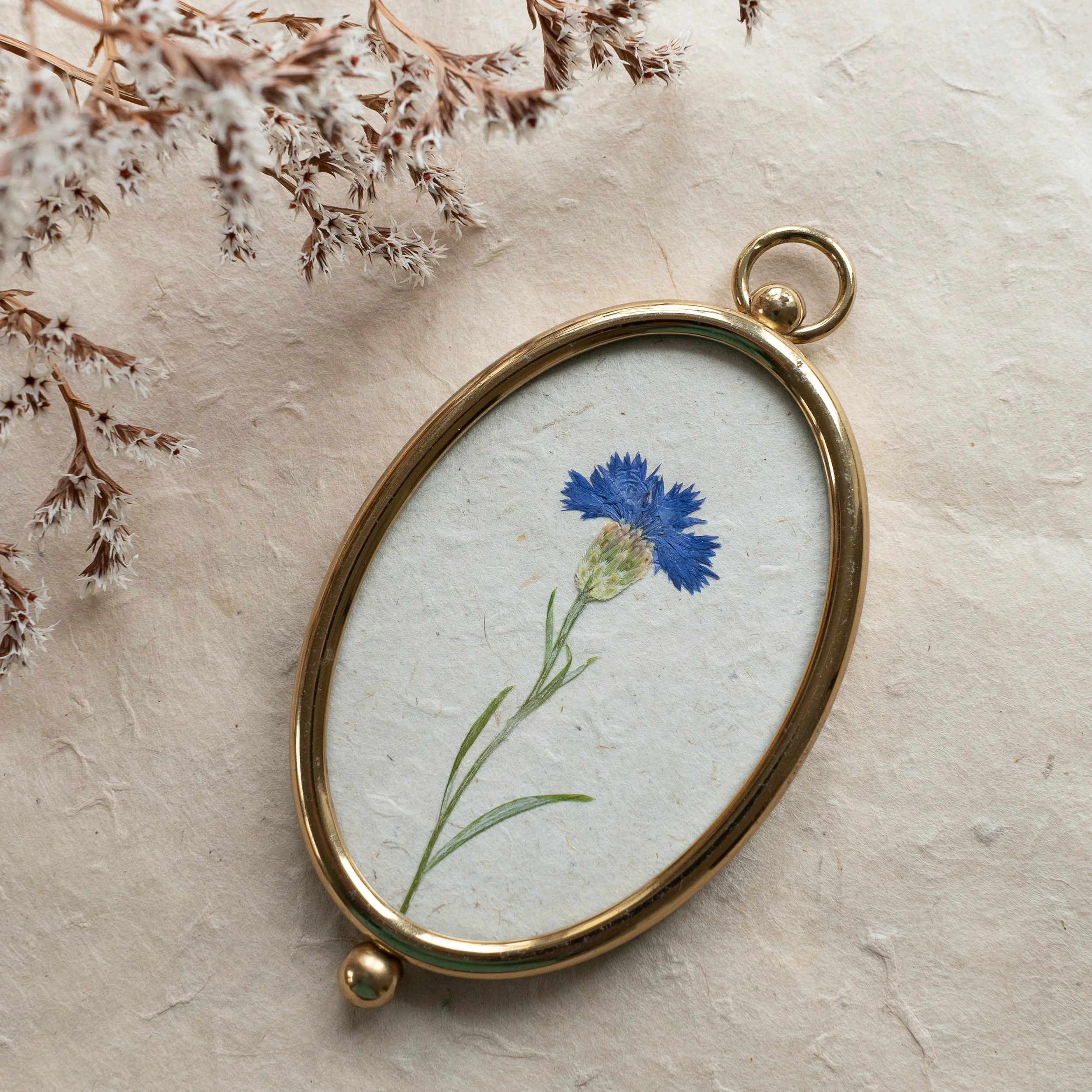 Vintage Collection - Cornflower 03