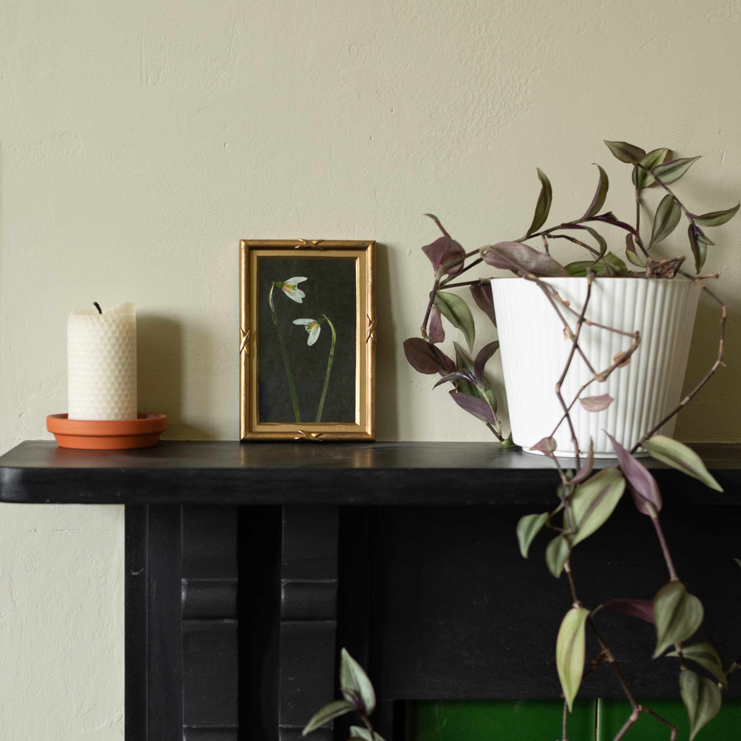 Vintage Collection - Snowdrop 08