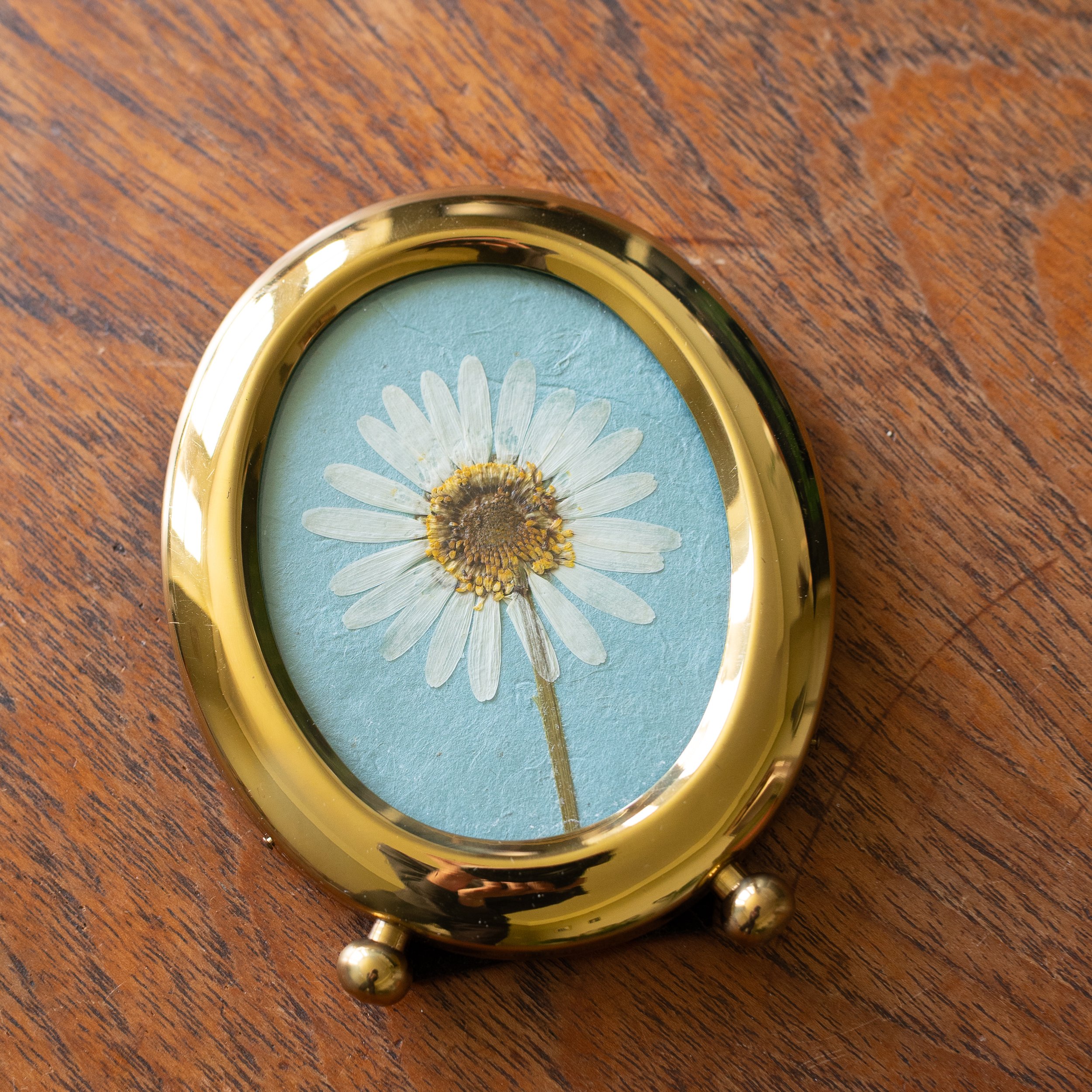 Vintage Collection - Wild Daisy 02