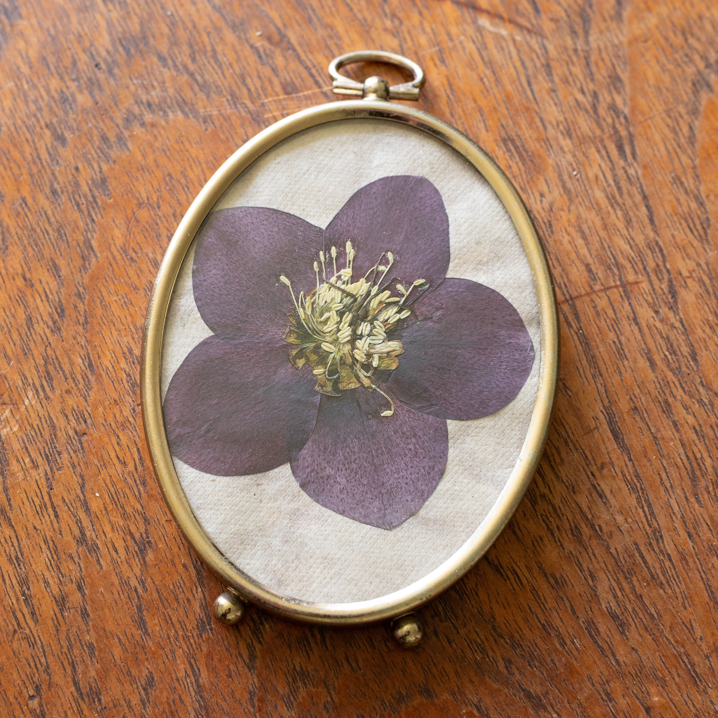 Vintage Collection - Hellebore 02