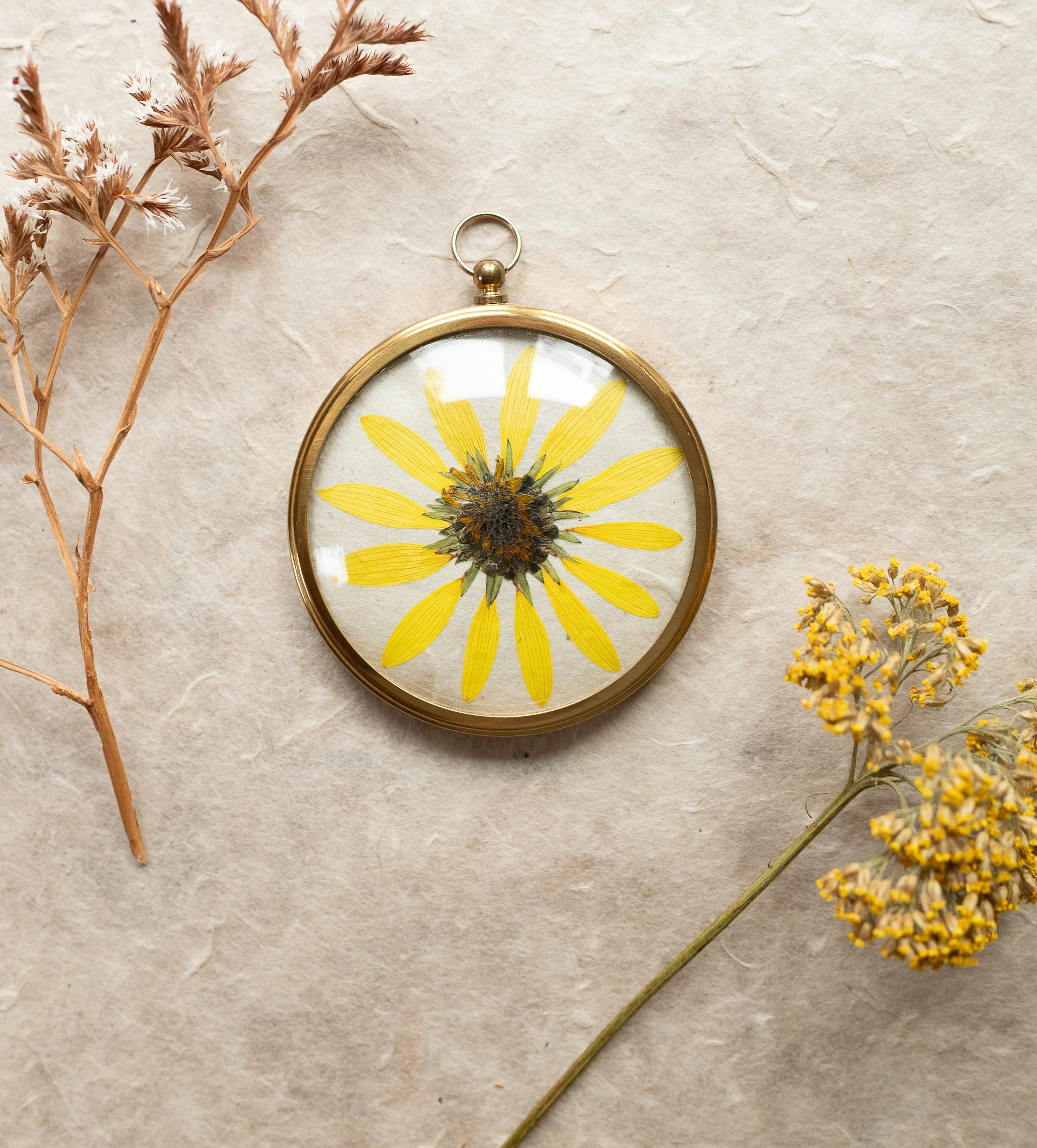 Vintage Collection - Perennial Sunflower 01