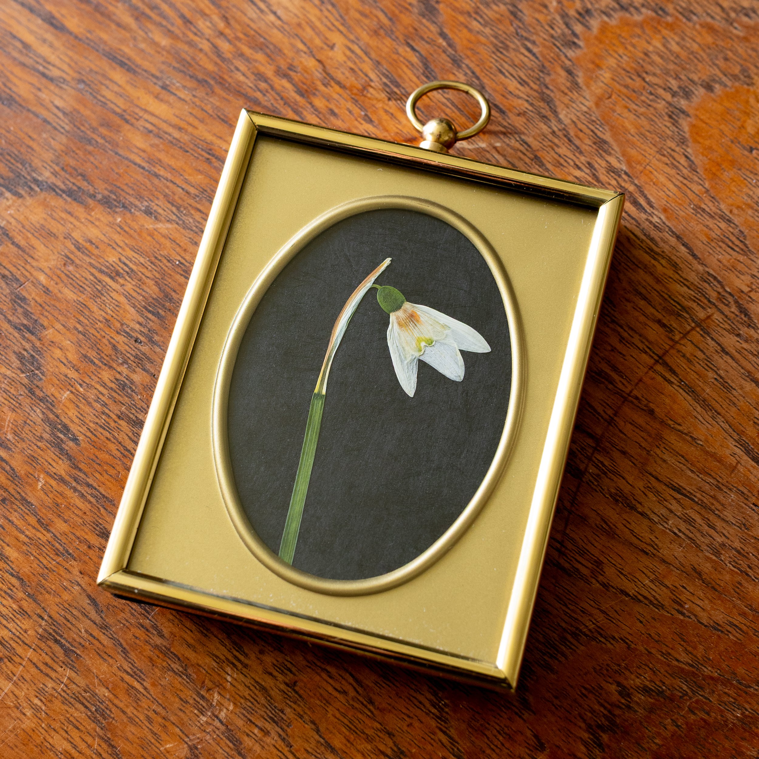 Vintage Collection - Snowdrop 09