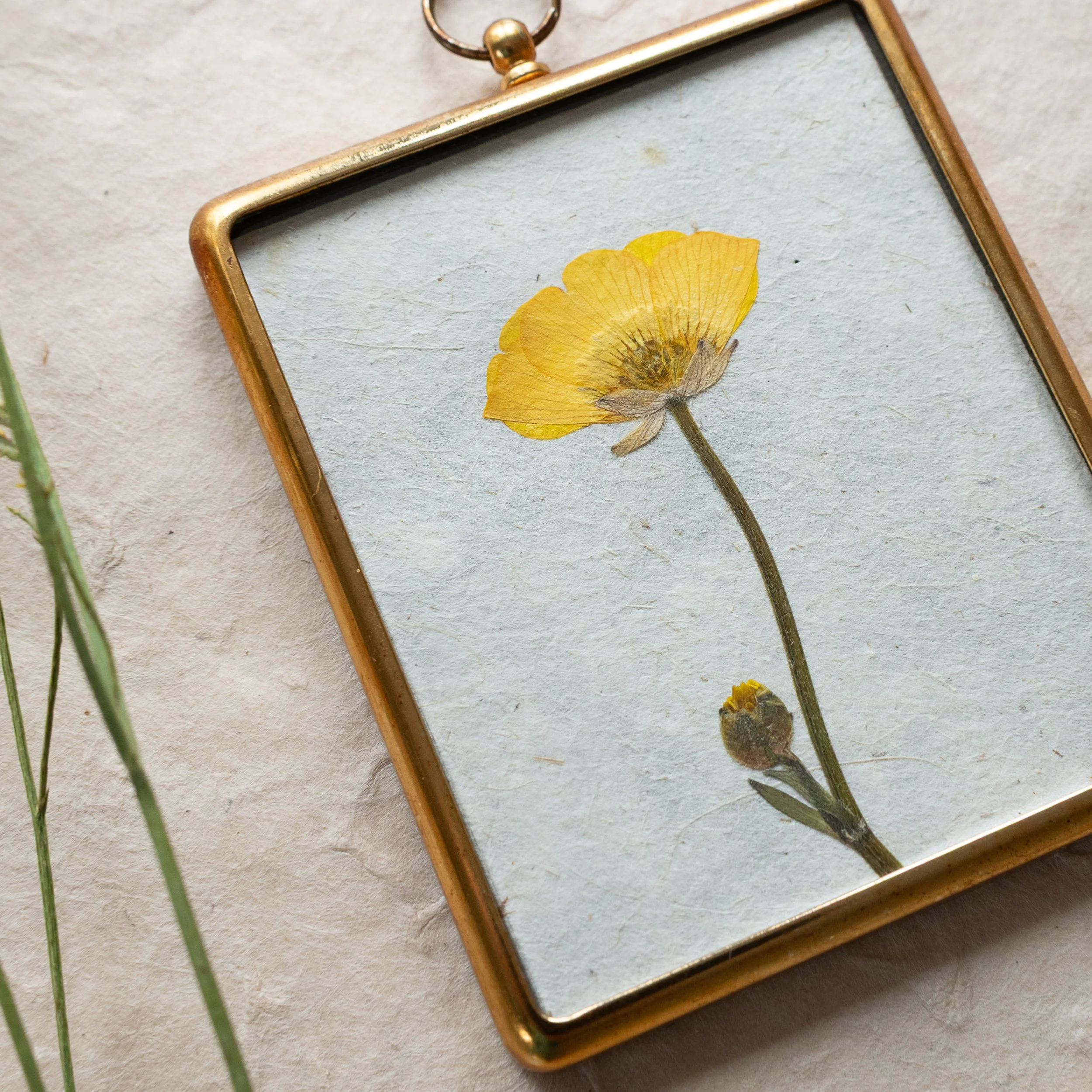 Vintage Collection - Buttercup 08