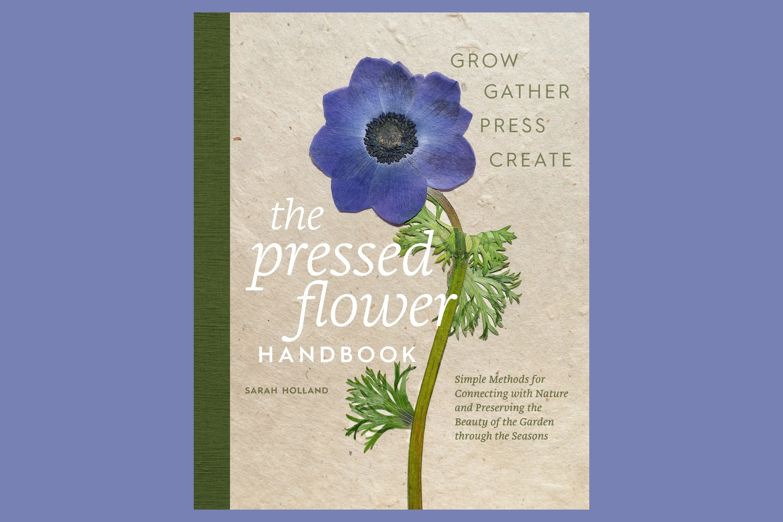 A beautiful blue anemone flower on the cover of Sarah Holland's book, The Pressed Flower Handbook. The book teaches readers how to traditionally press flowers and how to make gorgeous creations with them.