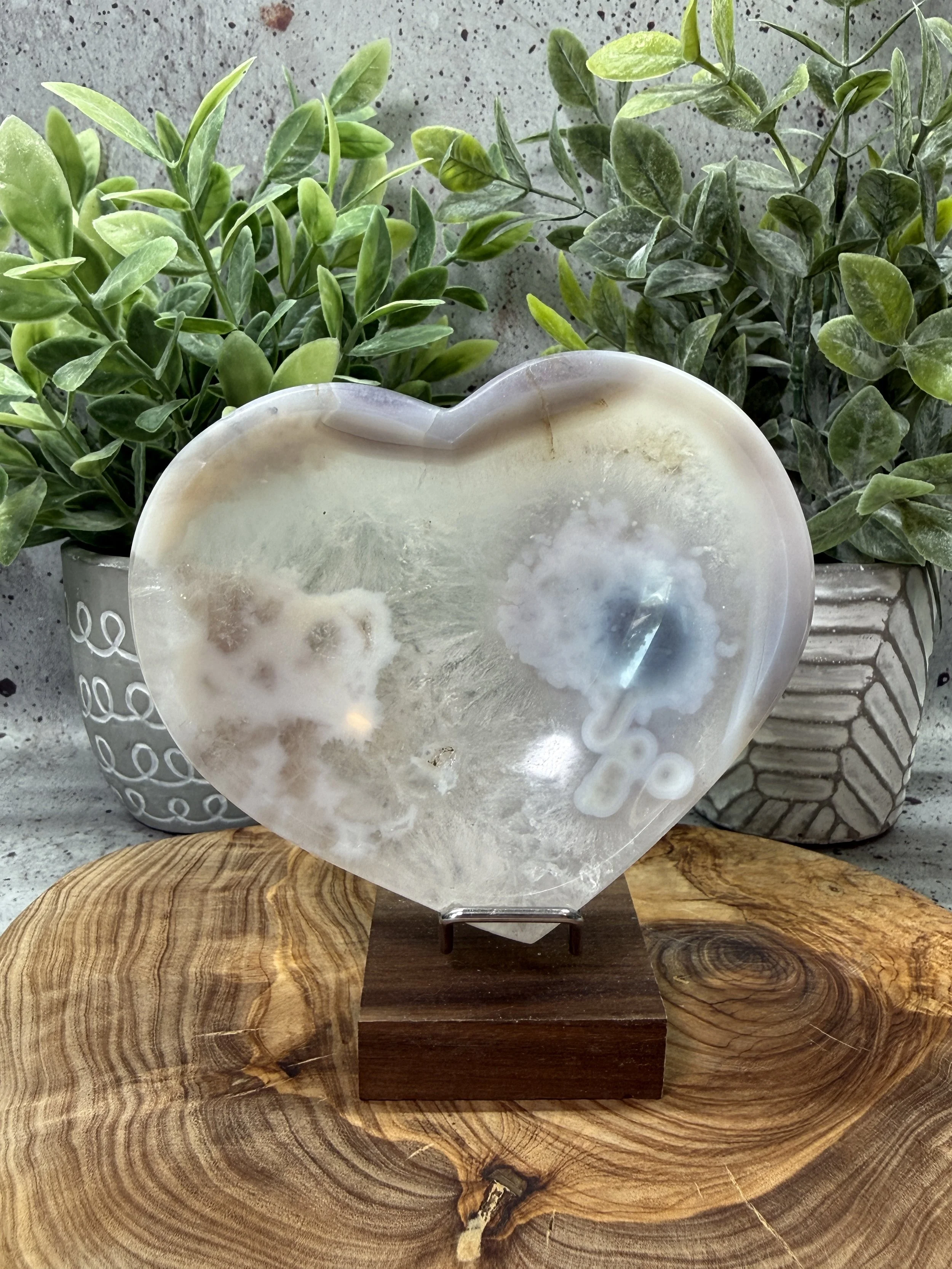 IMG_1125.JPG