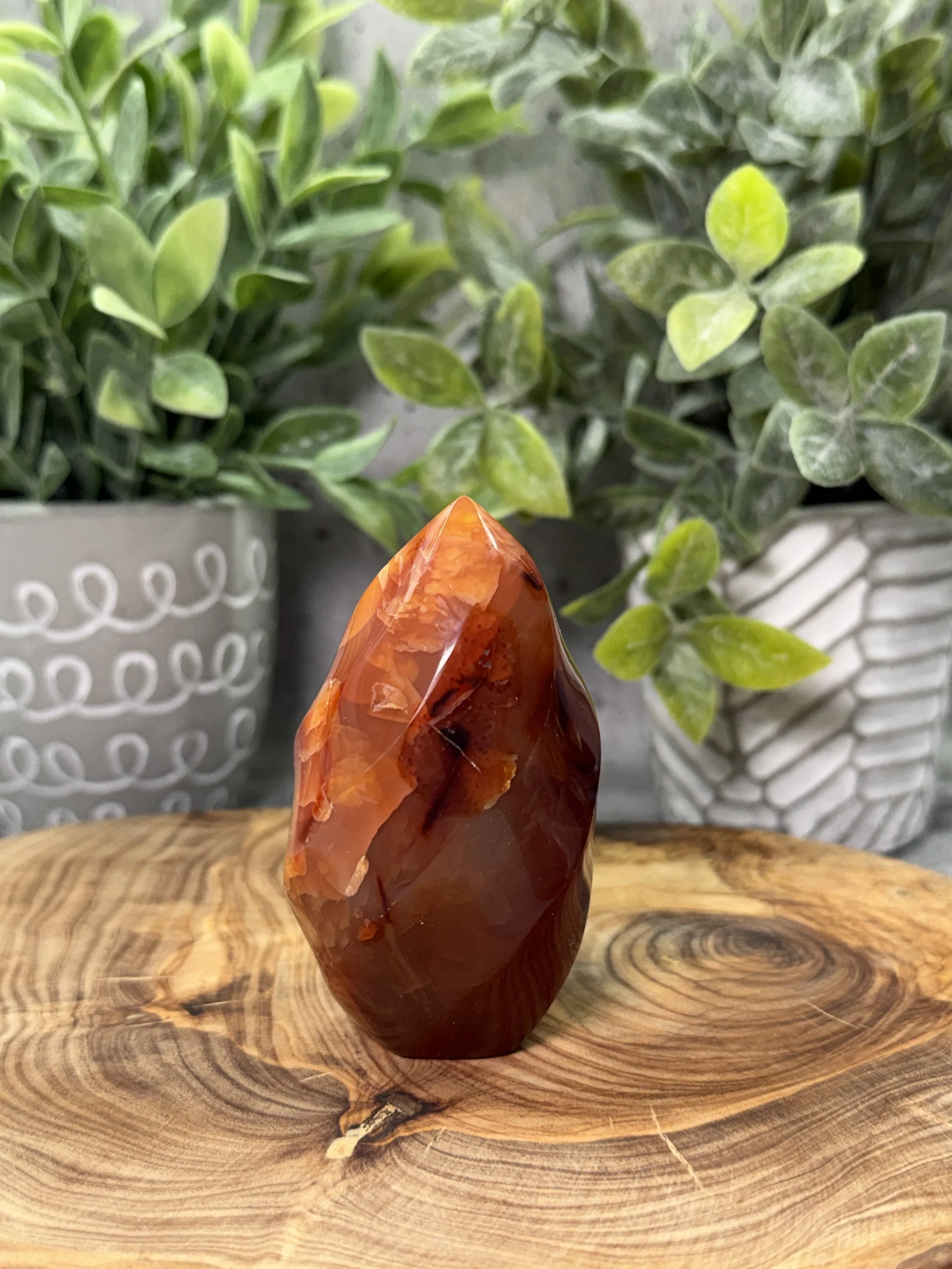 IMG_1048.JPG