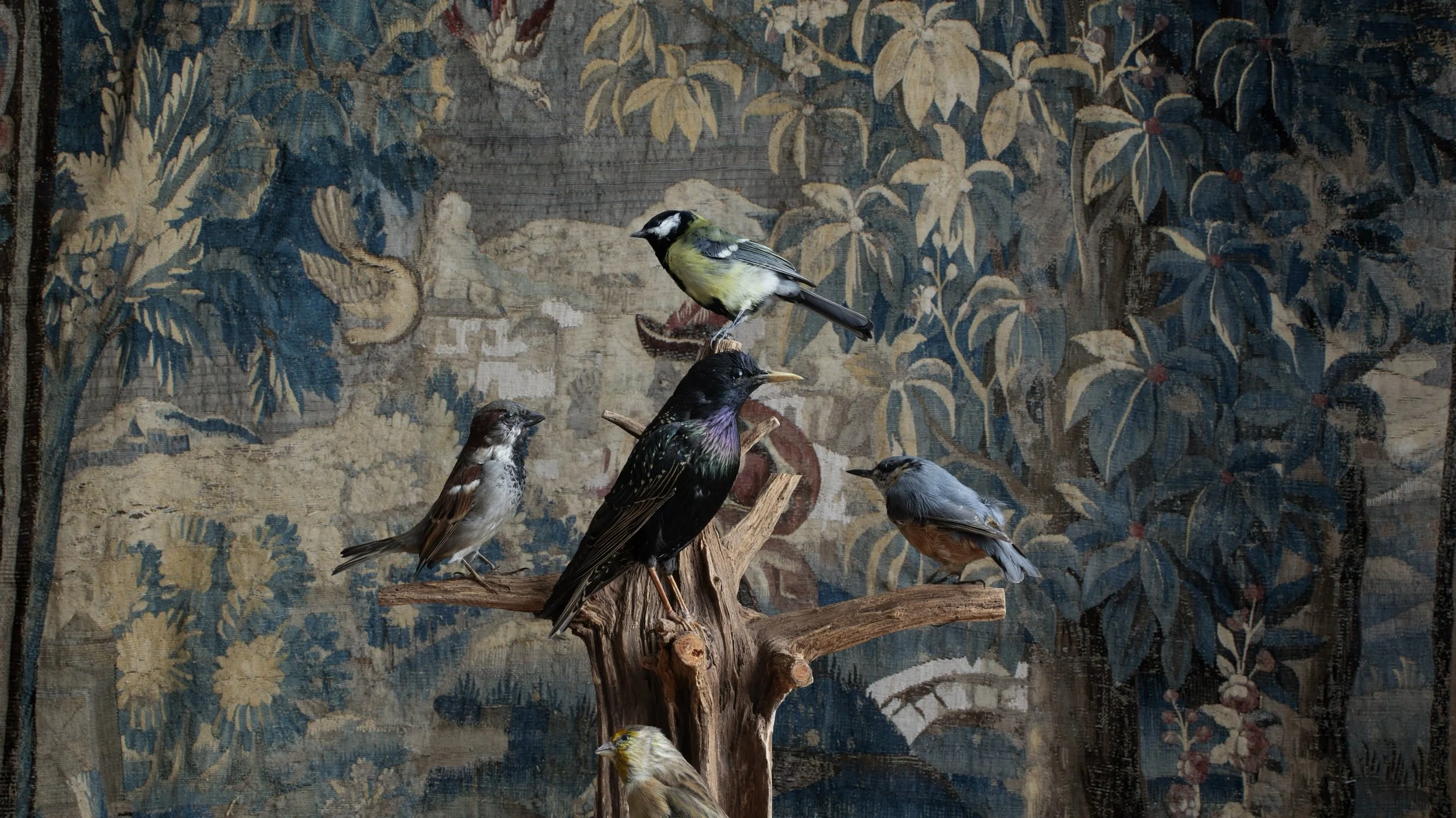 Extinction Story_still08.jpg