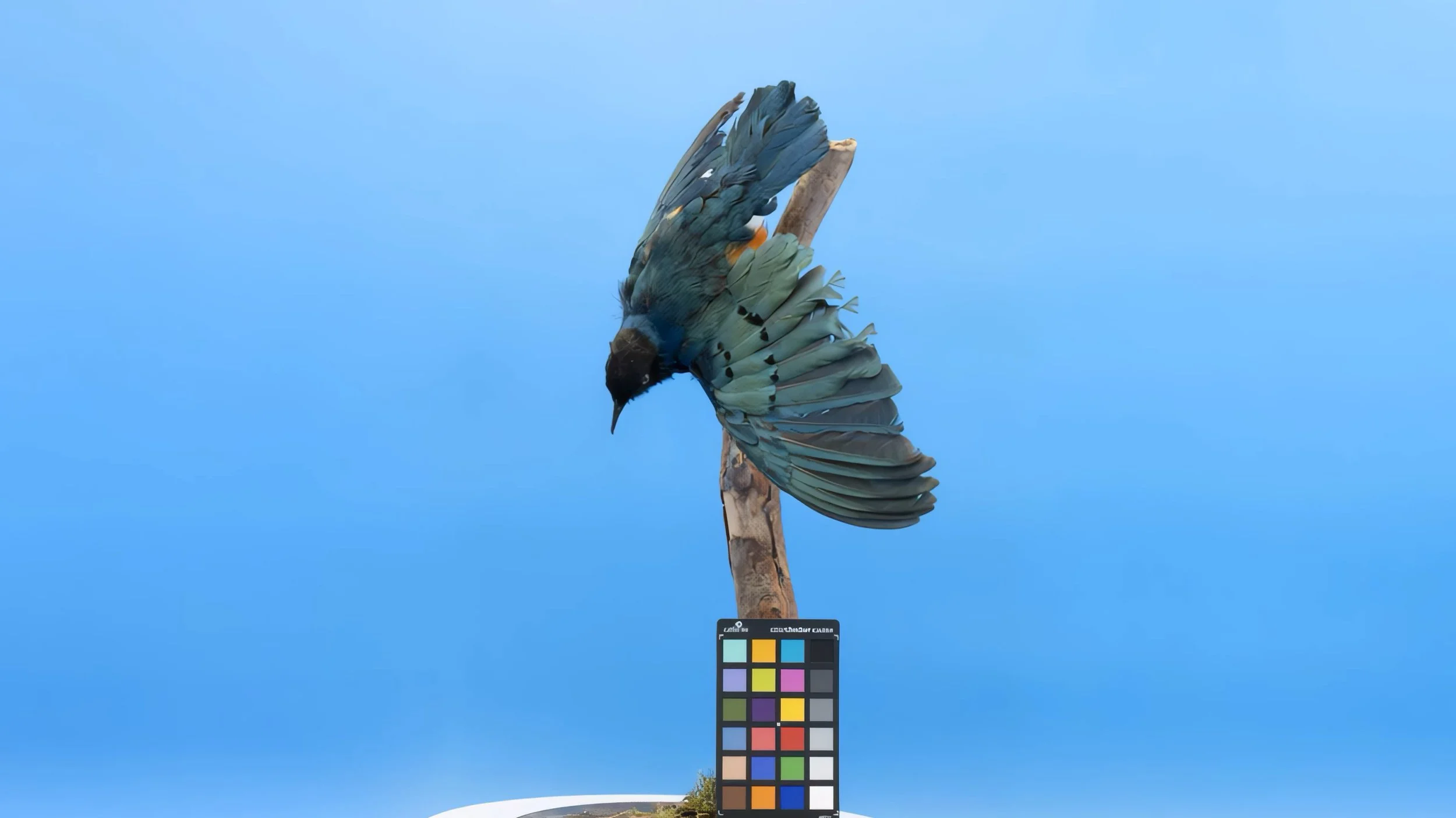 Extinction Story_still10.jpg