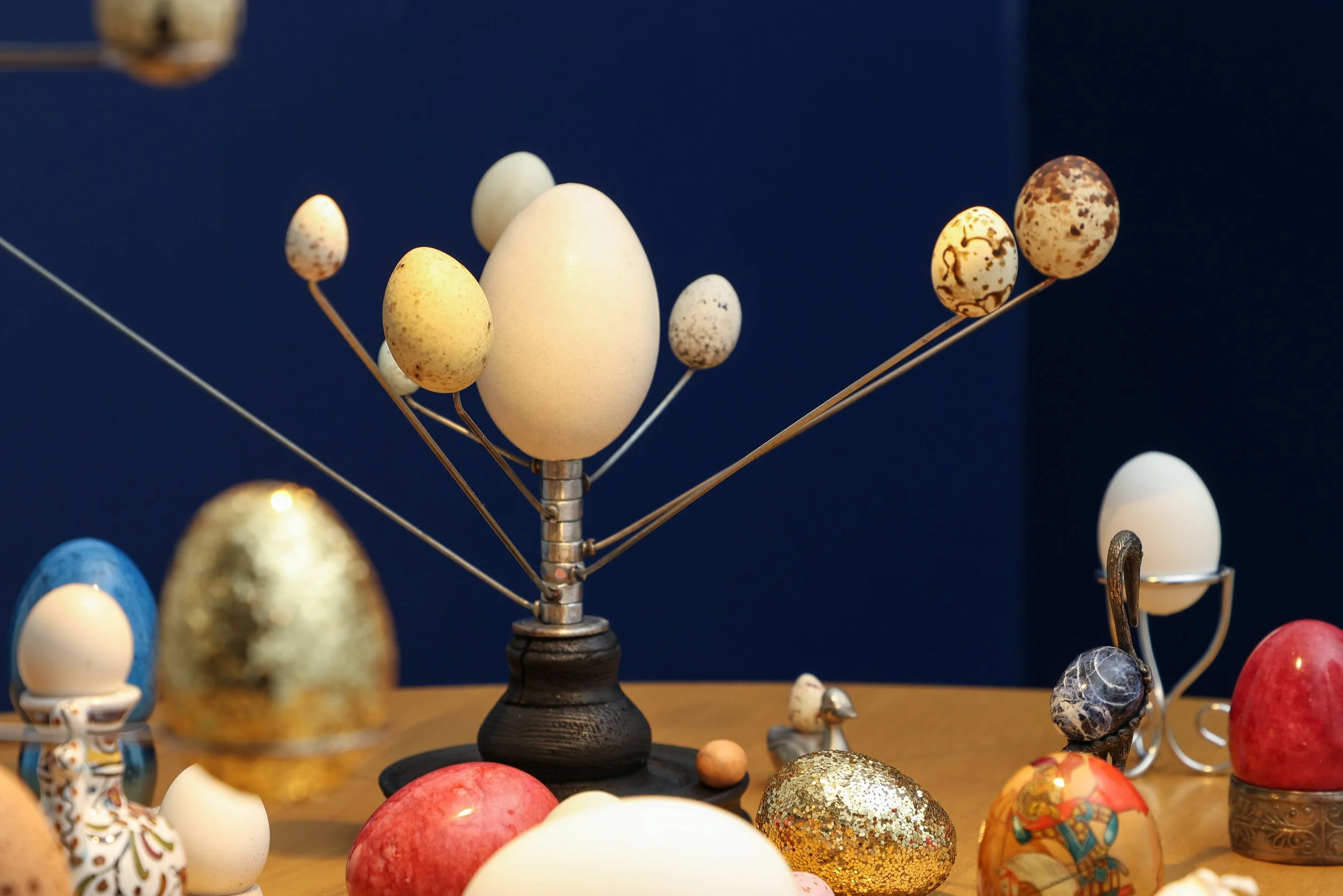 4_ph.Alessandro Santi.JPG