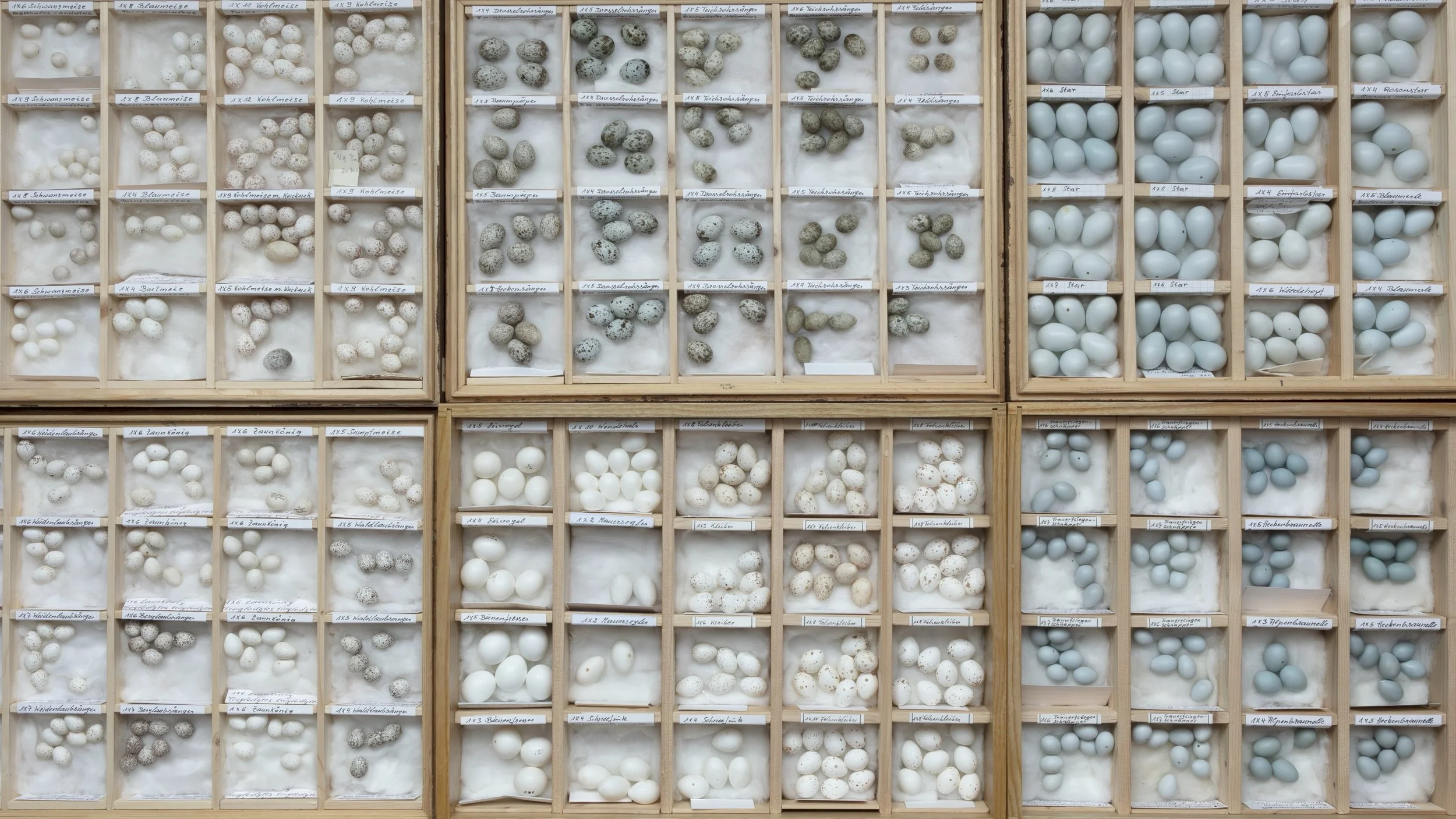 Extinction Story_still07.jpg