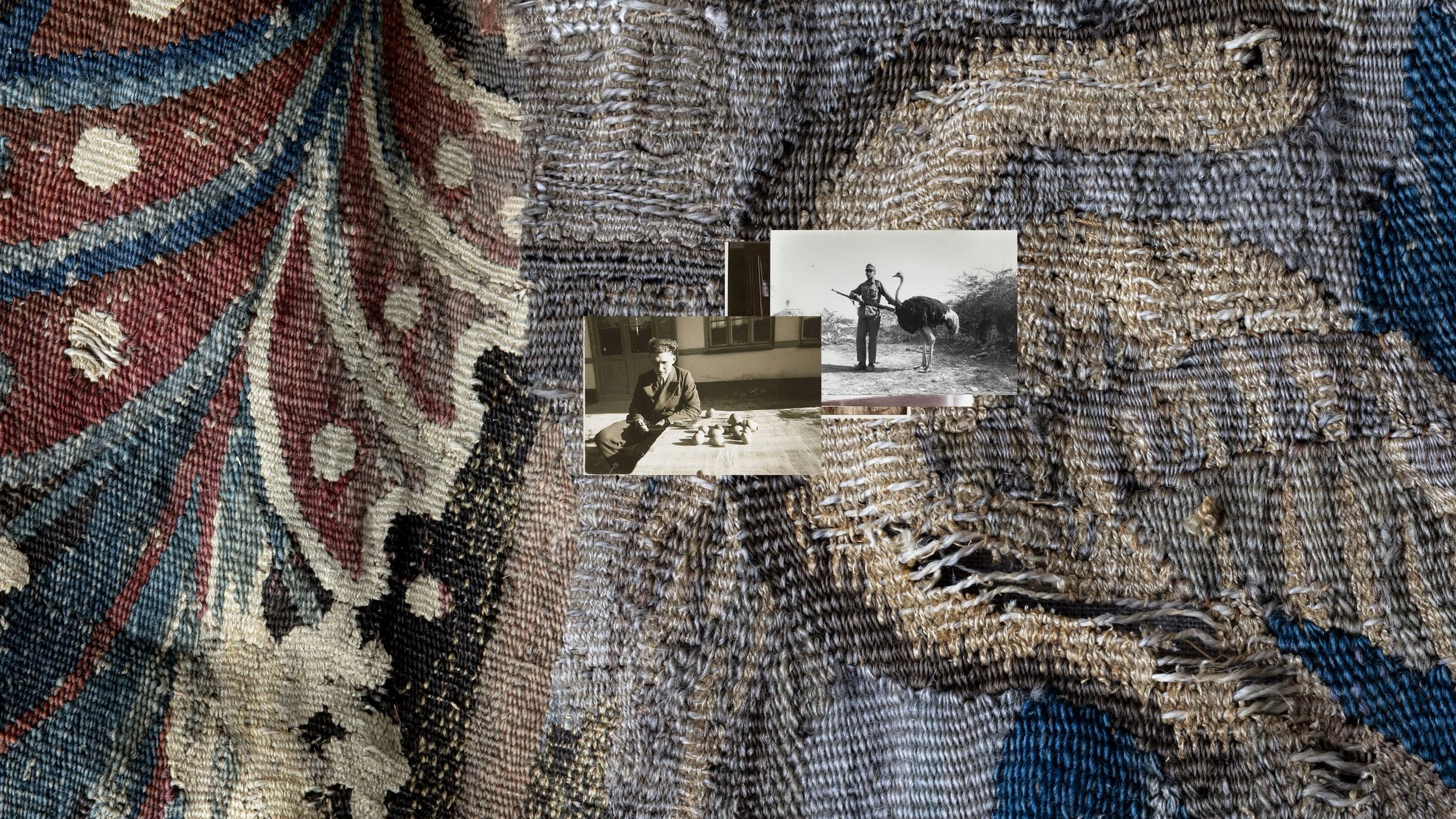 Extinction Story_still01.jpg