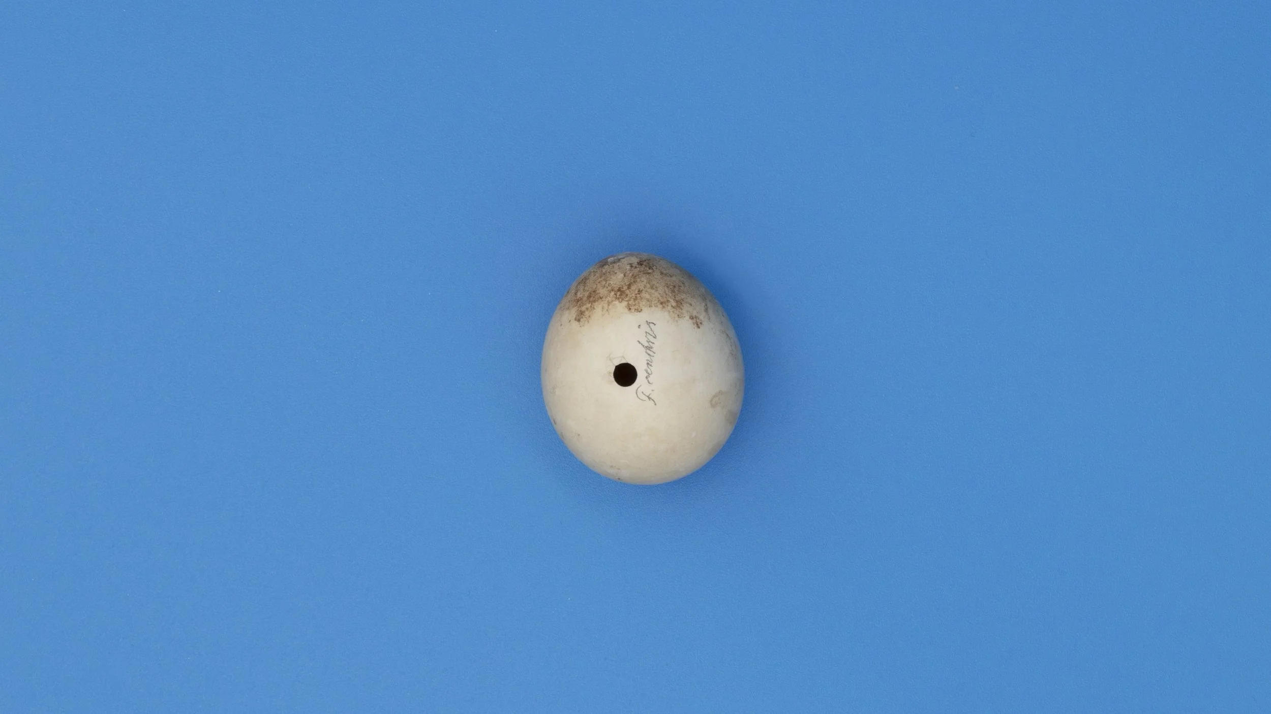 Extinction Story_still05.jpg