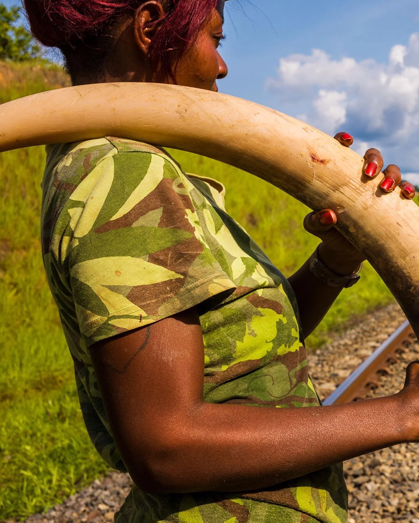 An eco guard holds an elephant tusk after the animal was hit by a train. Eco guards were called to the scene to secure the ivory as poaching for ivory is the most immediate threat for African forest elephants. Their populations declined by 62% betwee
