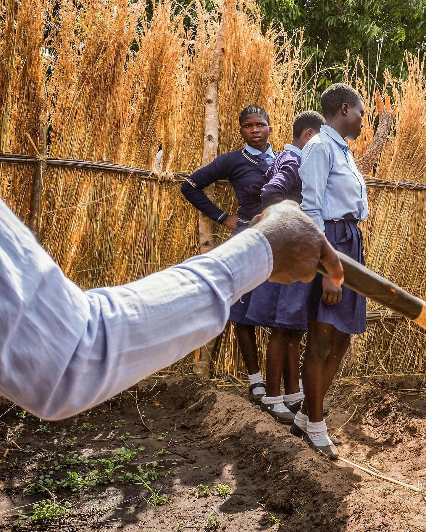 With the Western part of Zambia facing the worst drought in 30 years in 2019, members of Mishulundu Conservation Club (part of Mishulundu primary school) are being taught how to grow vegetables as the community (that mainly depends on fishing) needs 