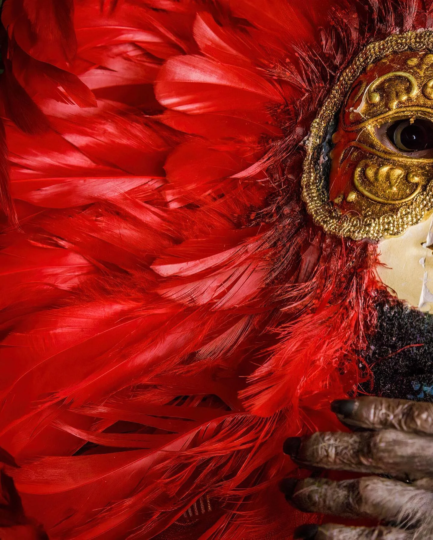 At the Kayabuki Tavern, tucked away in a corner of Utsunomiya's concrete jungle, Japanese macaque Fuku-chan wears a home made paper m&acirc;ch&eacute; carnaval mask during its performance practice. Yes,  that&rsquo;s correct, there&rsquo;s an actual 
