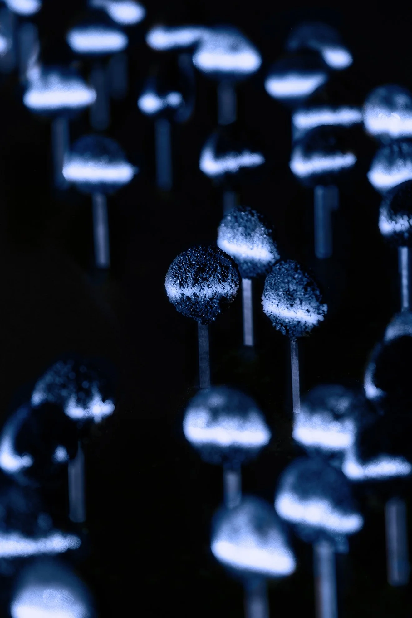 Lexus_Design_Event_Prepare_Your_Senses_lollipops.jpg