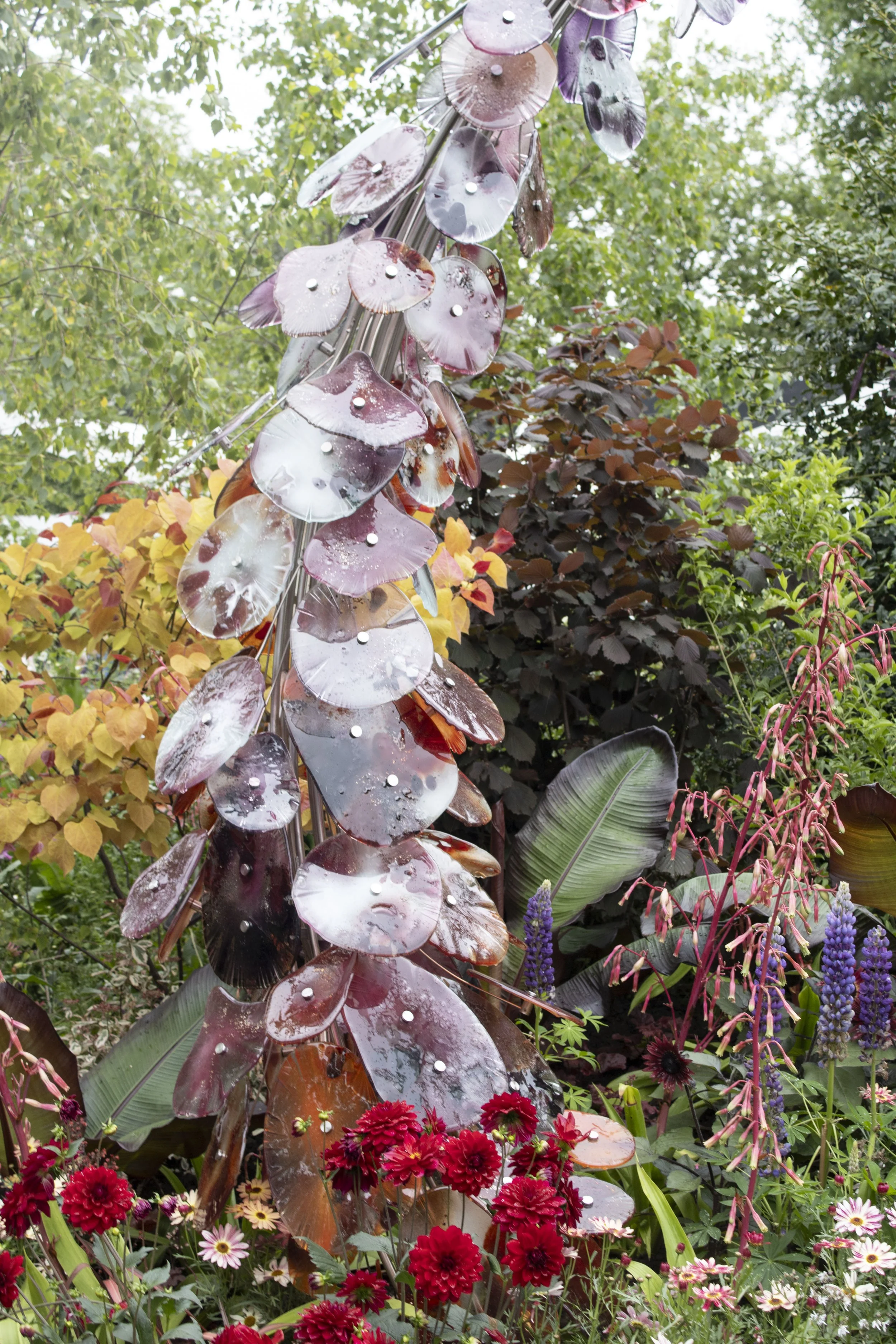 RHS_Chelsea_Flower_Show_2024_RHS_Britain_In_Bloom_60th_Anniversary_The_Friendship_Garden_3.JPG