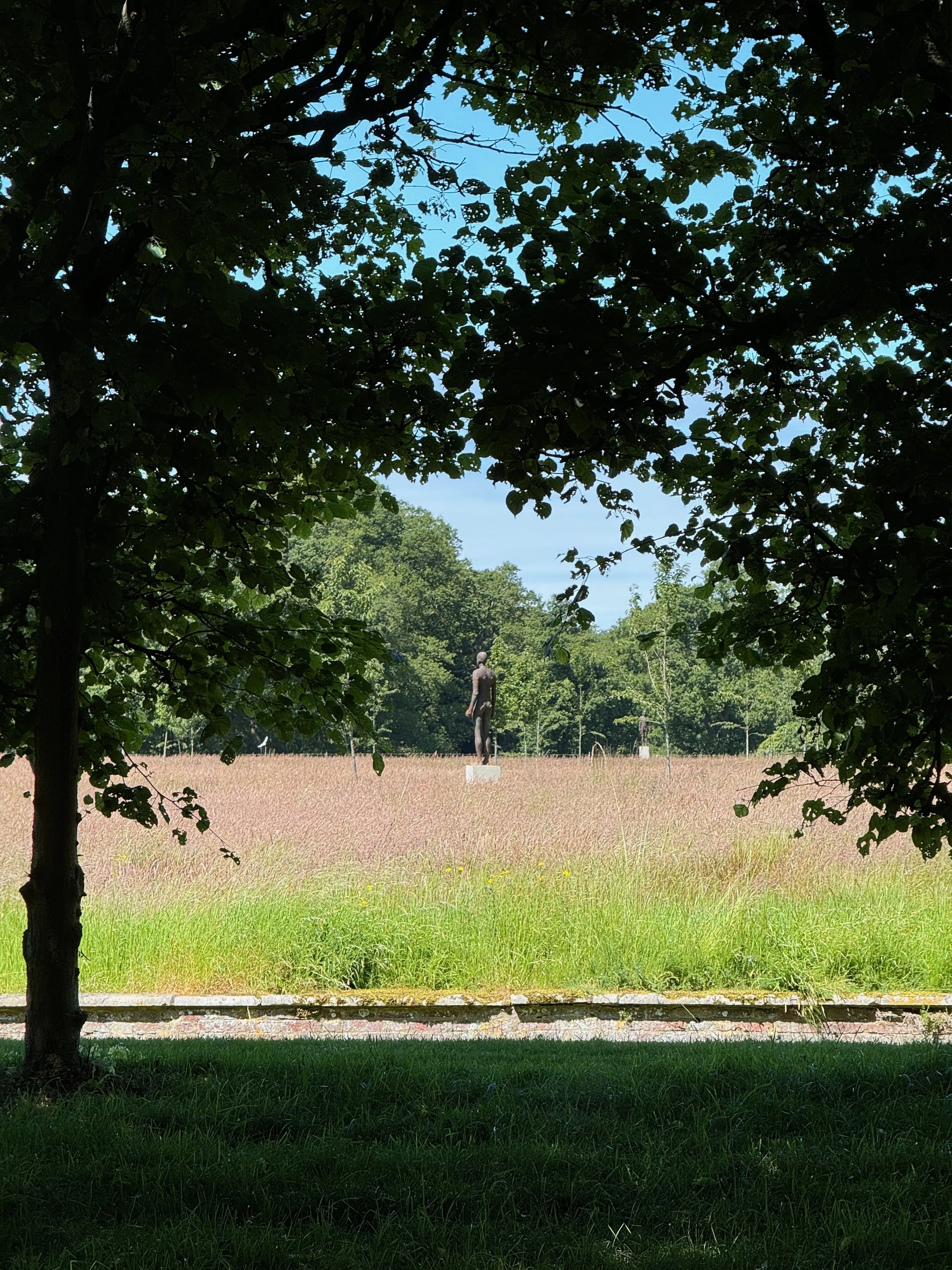 Time_Horizon_Antony_Gormley_Houghton_Hall_and_Gardens_Martyn_White_London_2.jpeg