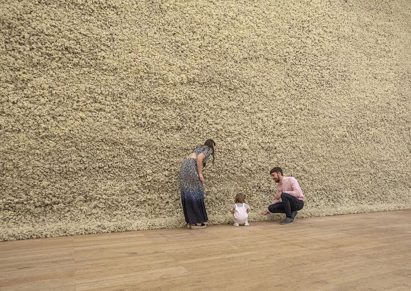 Olafur_Eliasson_Moss_wall.jpg