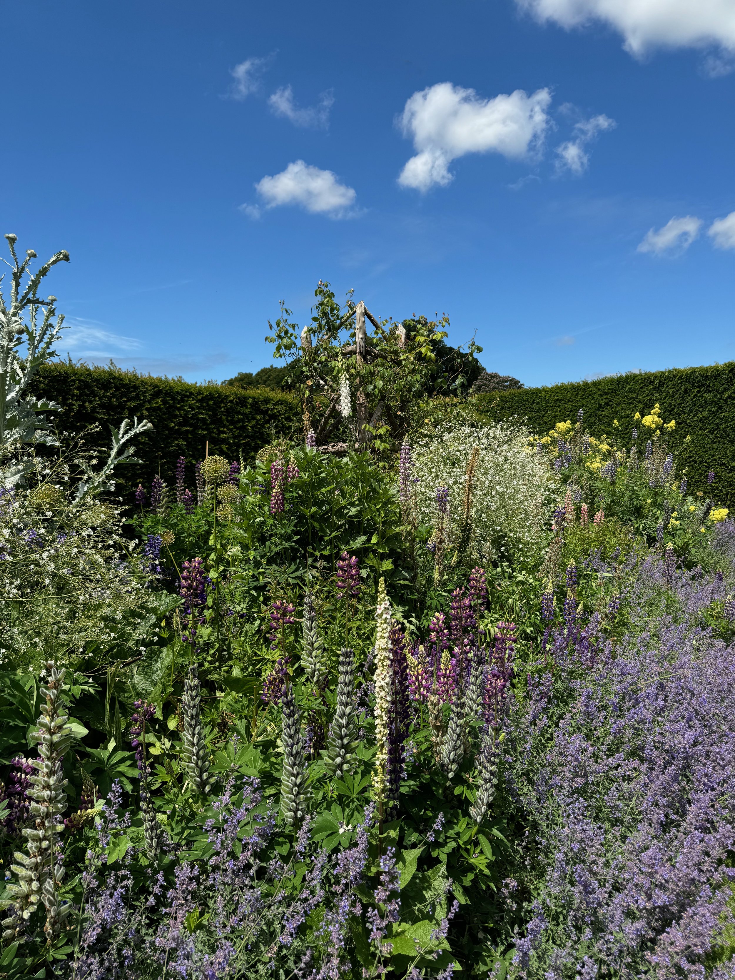 Houghton_Hall_and_Gardens_Norfolk_Stately_Homes_Martyn_White_UK_67.jpeg
