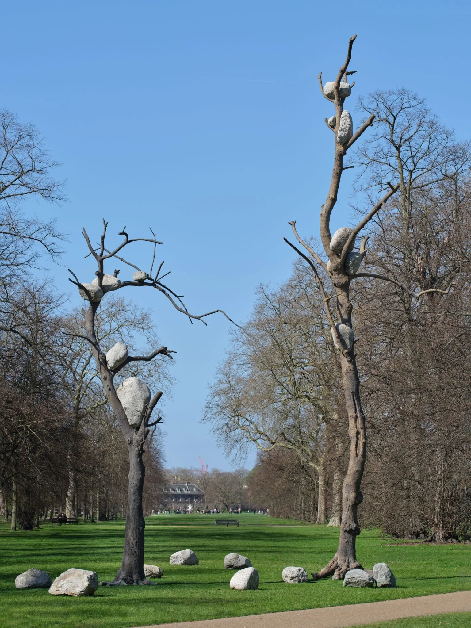 Serpentine_Gallery_South_Thoughts_In_The_Roots_Giuseppe_Penone_Martyn_White_UK_2.jpg