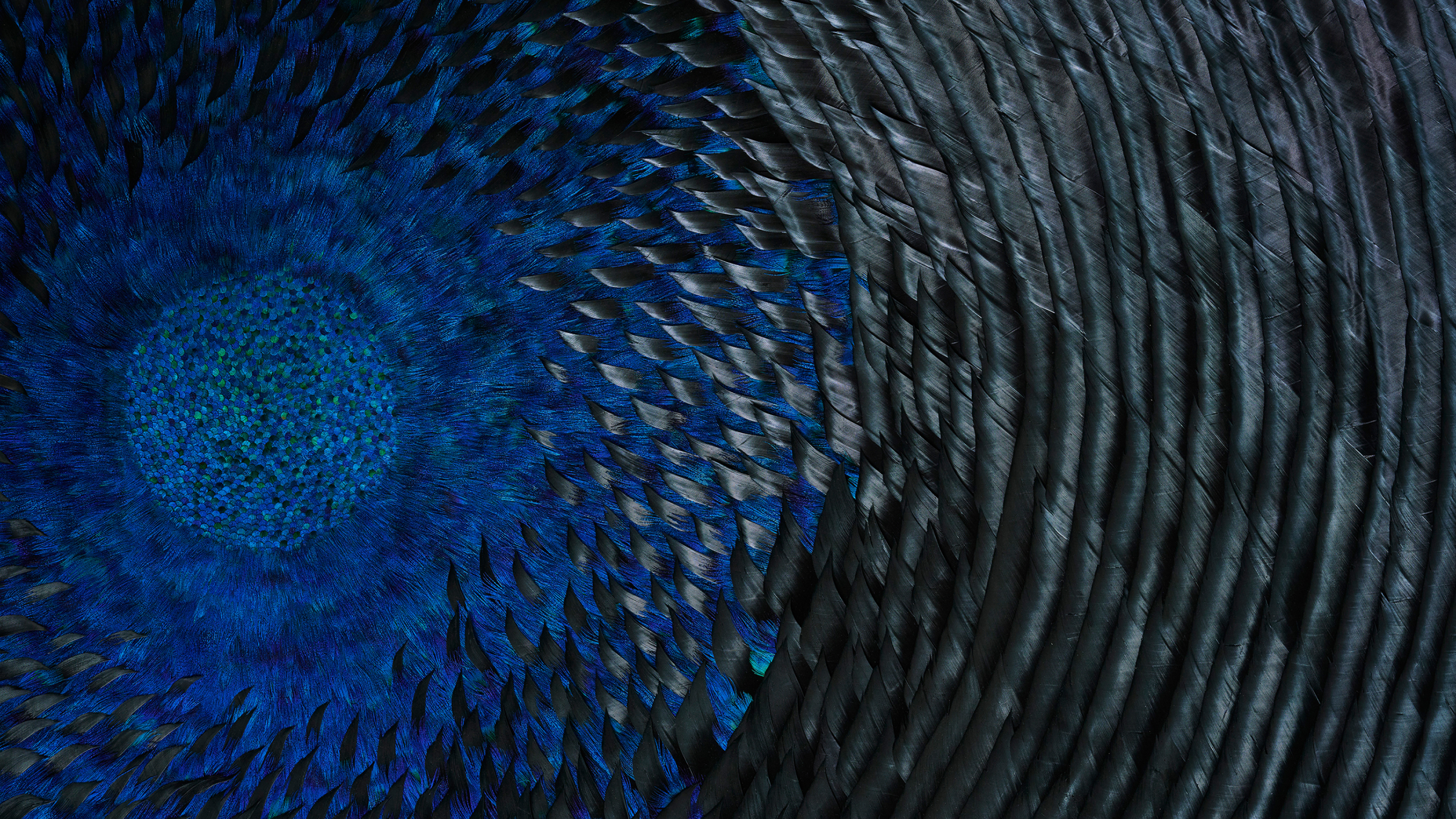the-art-of-feathers-nyc-x-design-2026-martyn-white-usa.png