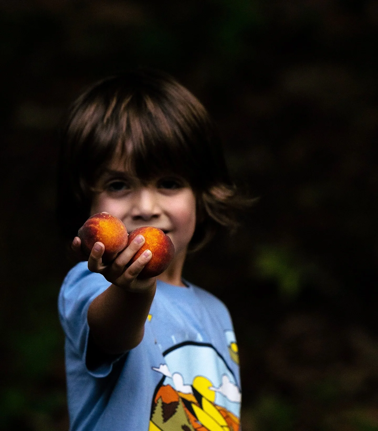 Late Summer Harvest

This is our 4th growing season here, and it continues to be deeply satisfying and healthily humbling.  The longer we live here, the more obvious it becomes that so much about this project, and this place, is about growing food an