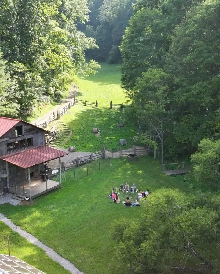 Late summer scenes from the homestead and the hollow.

Foggy mornings, healing humans, a new farm dog, duckling redemption, round dux farm dinner series, veggie bounty, sunflowers last stand, mushroom flush galore, butterflies dwindle, and faint hint