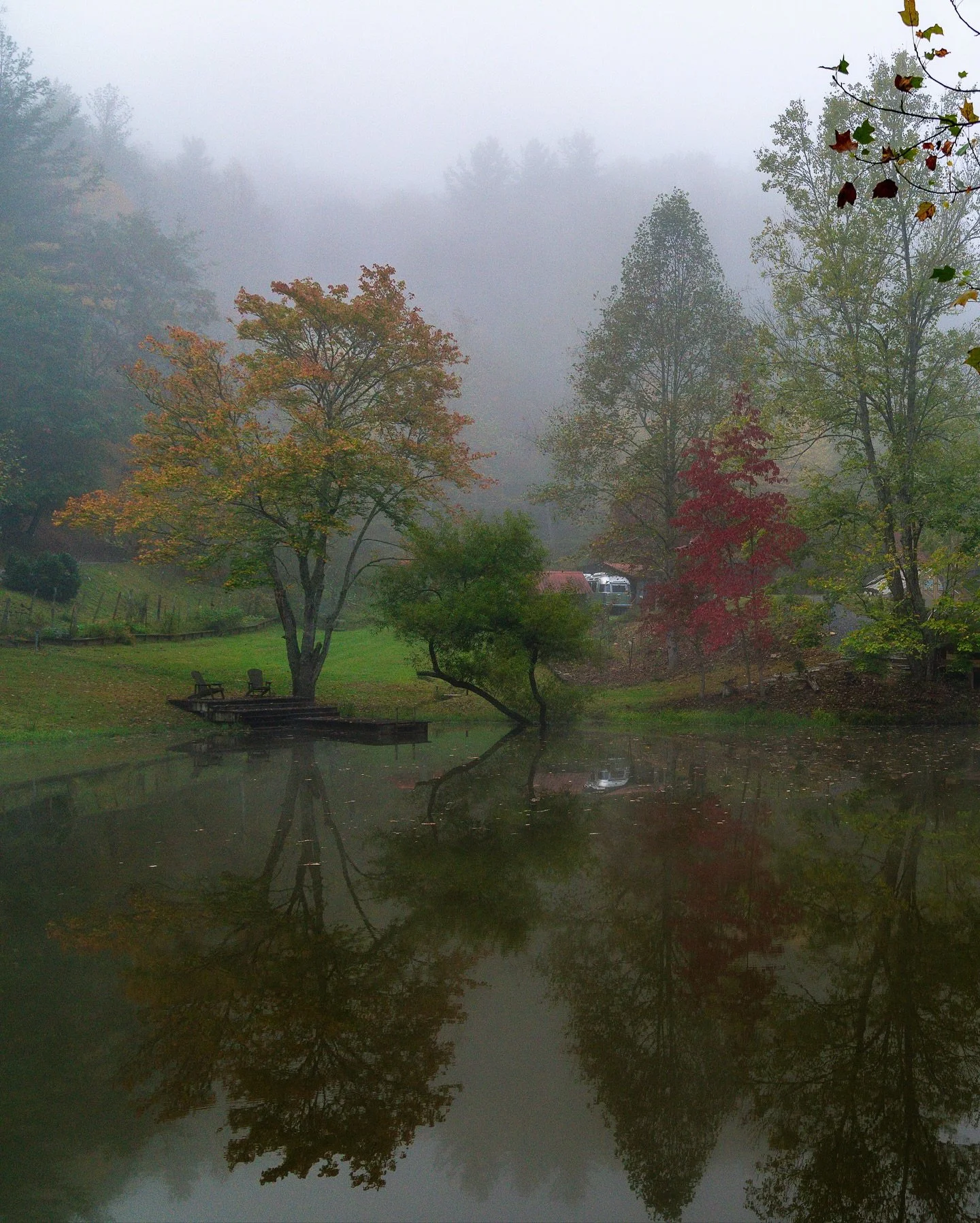 Early Fall at Firecreek. 

After a leafless autumn post-Helene last year, this year&rsquo;s colors and beauty are reminding us all why fall is the most beautiful season in southern Appalachia.

#firecreekretreat #fall #fallcolors #homestead #retreat 