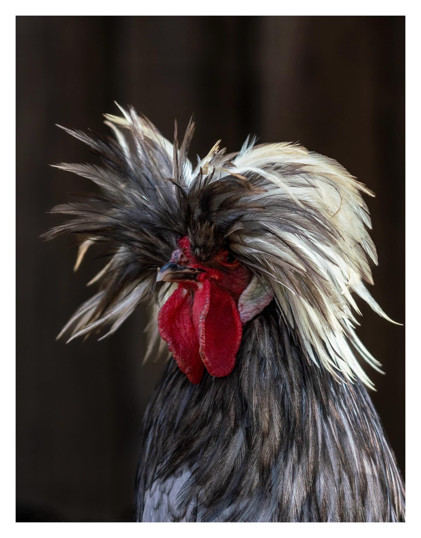 There&rsquo;s so much to be thankful for. 

Thanksgiving 25&rsquo; @ Firecreek ❤️