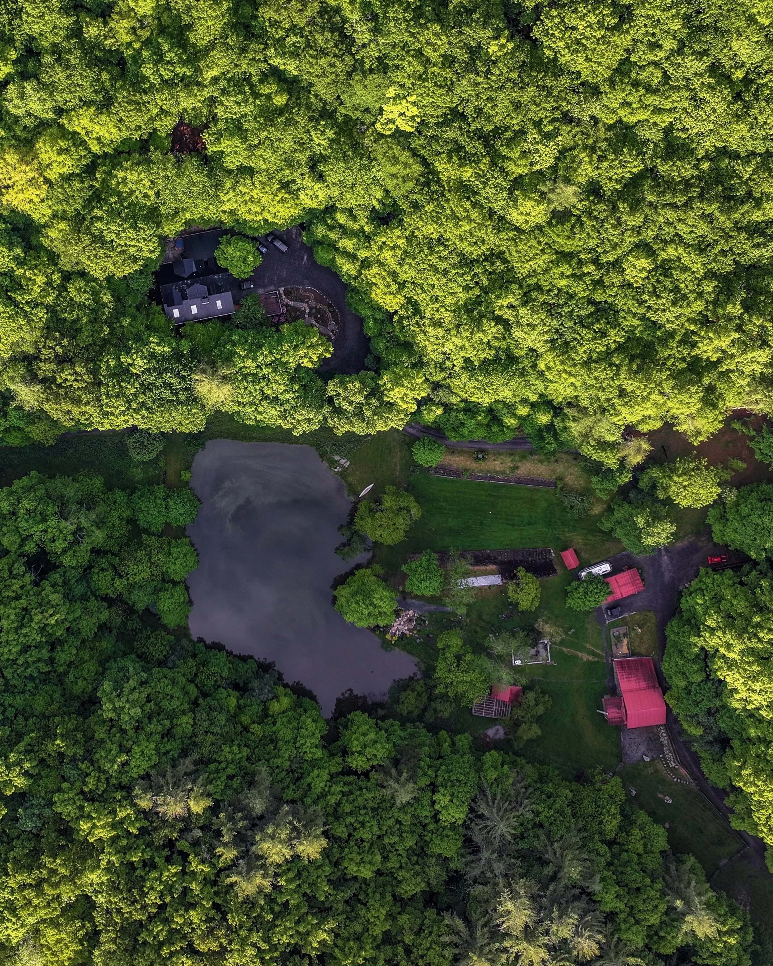 Satoyama.
There&rsquo;s a Japanese concept called satoyama &mdash; the space where human life and wild nature don&rsquo;t fight each other. Terraced fields, old woodlands, clear streams. Communities that take what they need and leave the rest intact.