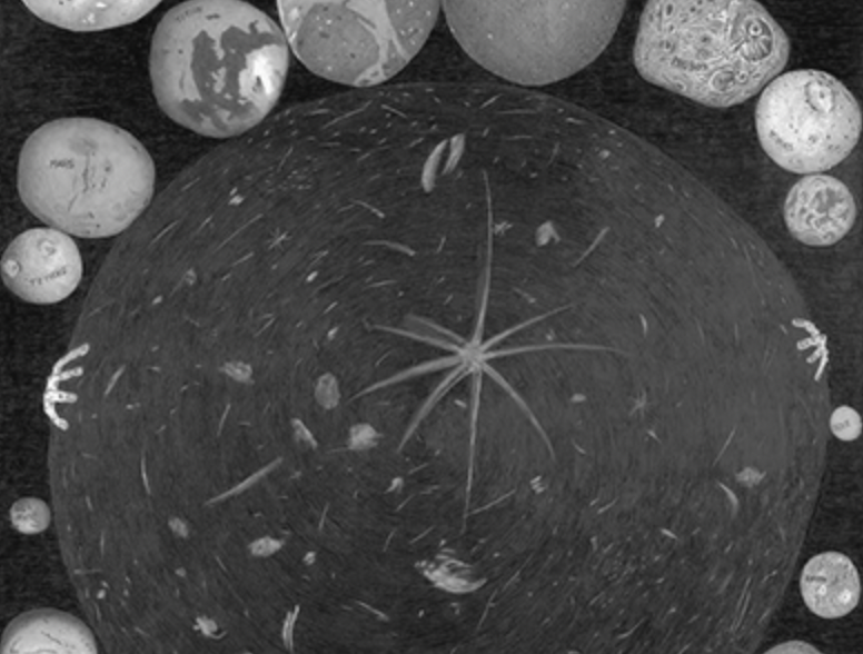 A central large starfish surrounded by small seashells and stones in a circular formation.