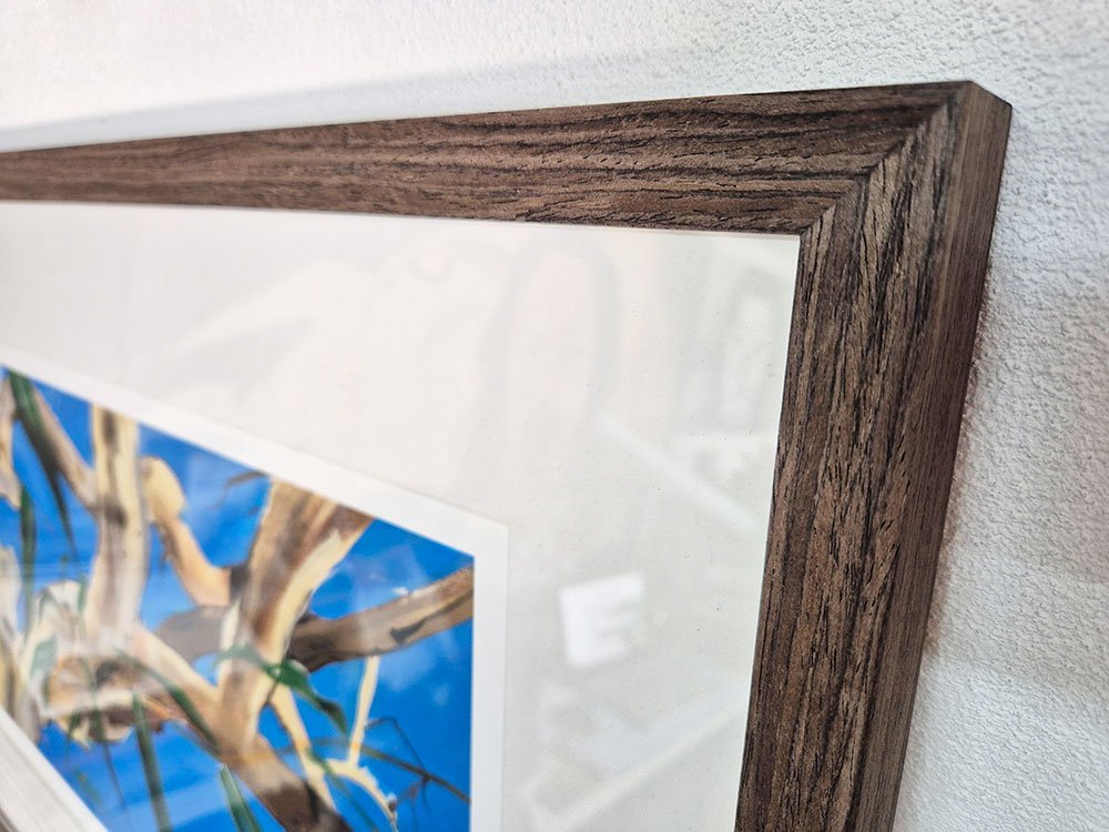 Þe_olde_gum_tree_frame.jpg