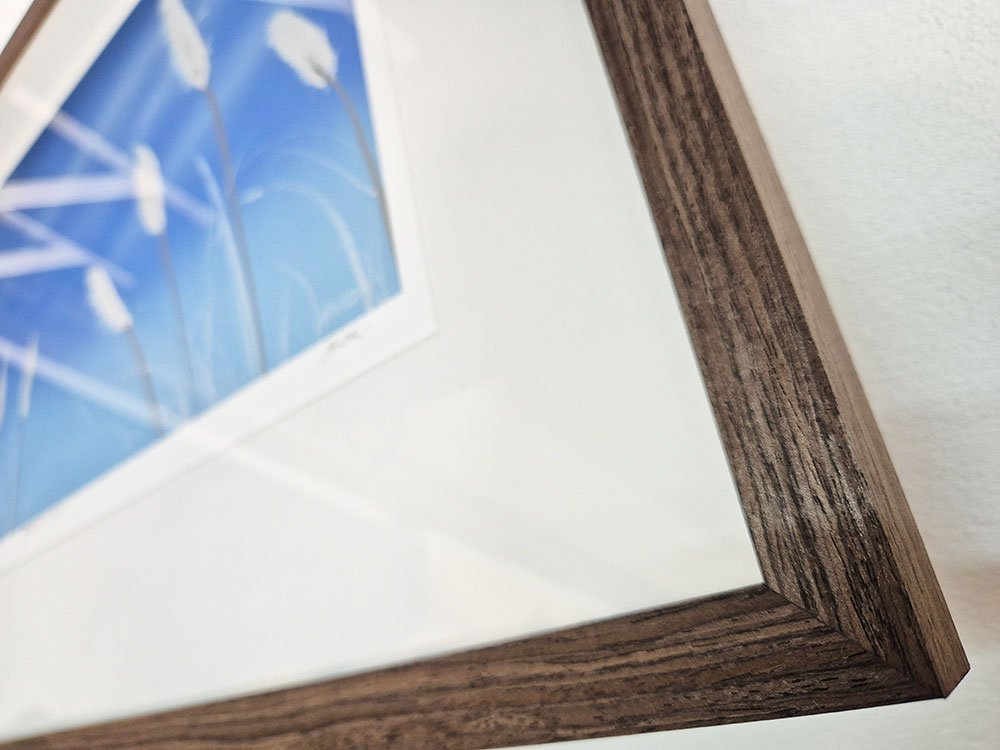 pampas_white_frame.jpg