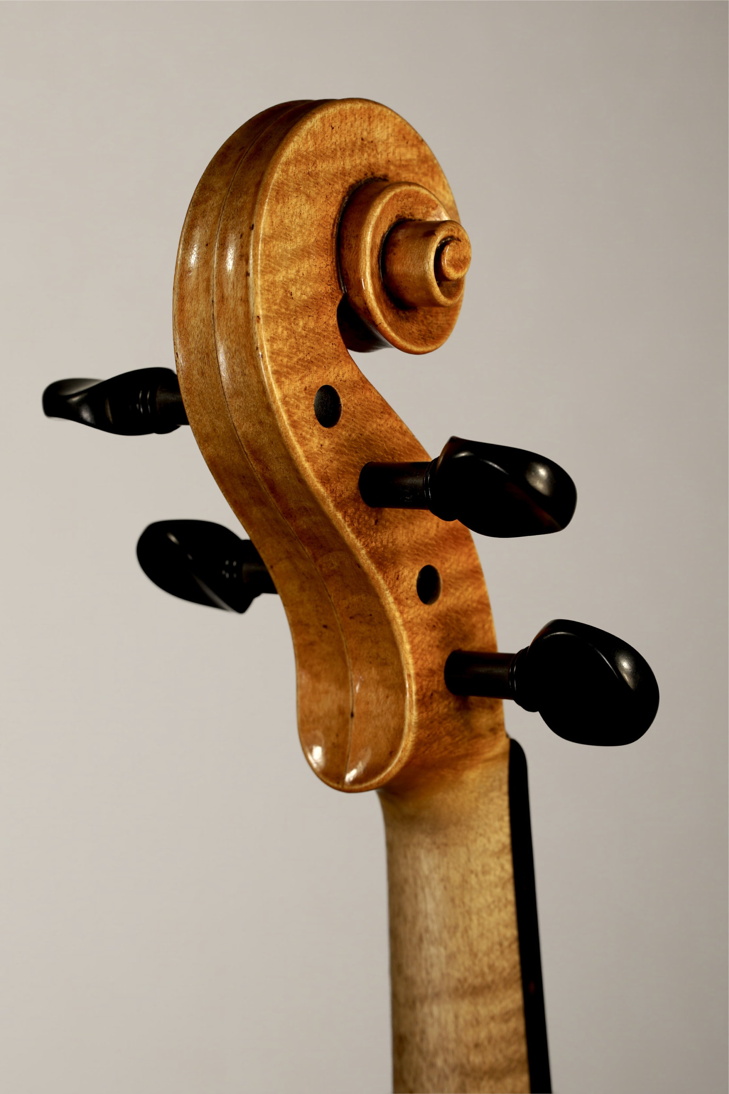 Schnecke hl.jpg