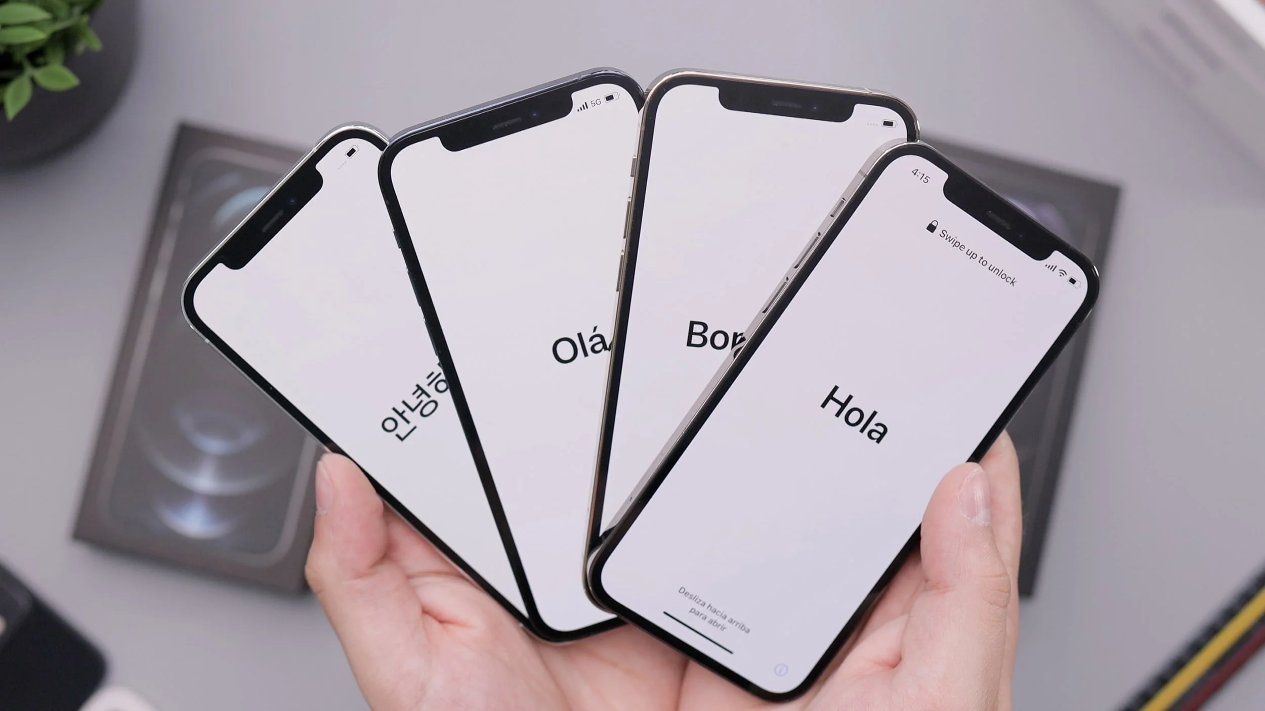 Translating hello, please, thank you