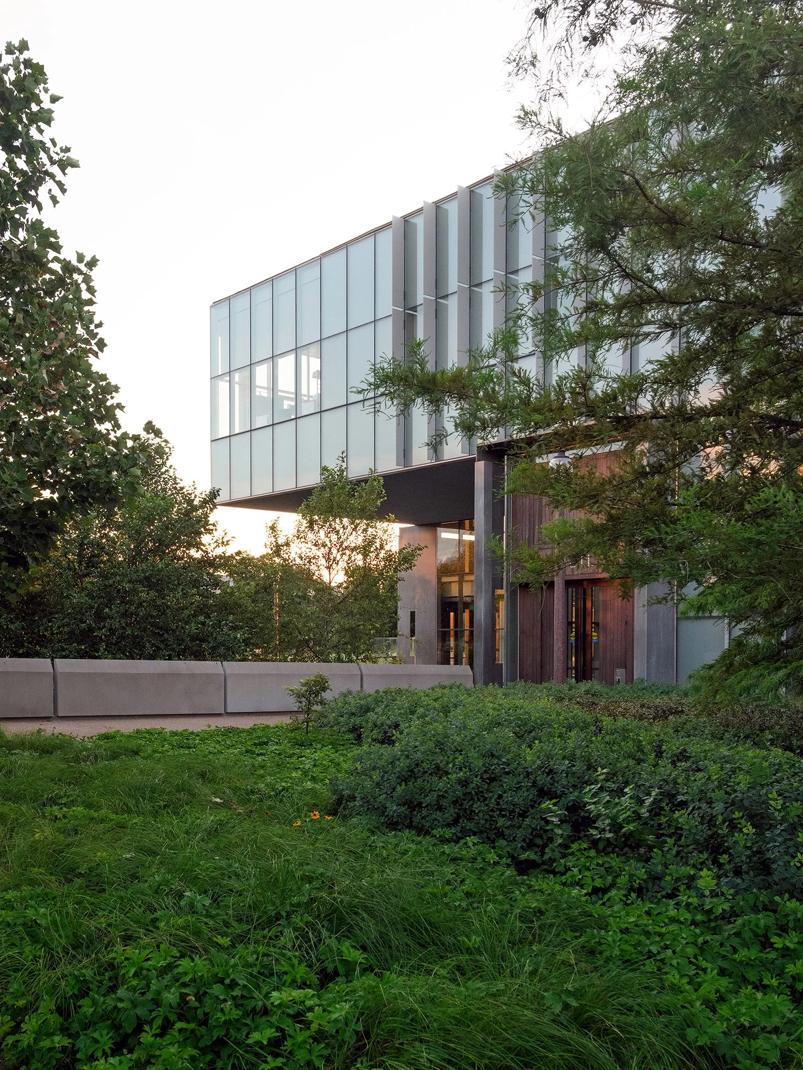 Modern building with glass facade surrounded by green trees and grass