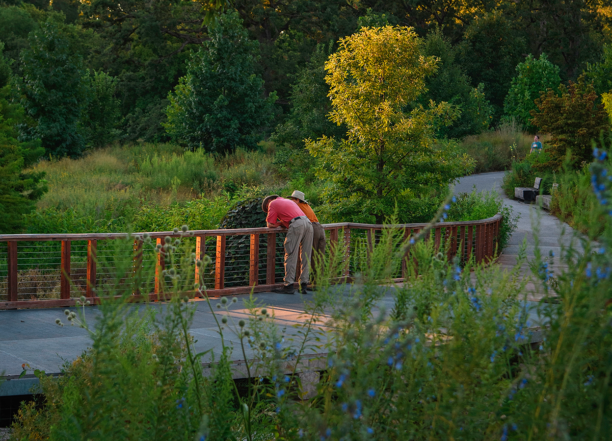 Two people leaning over a railing looking down at a garden or natural area, with a winding path and lush green trees and plants surrounding them.