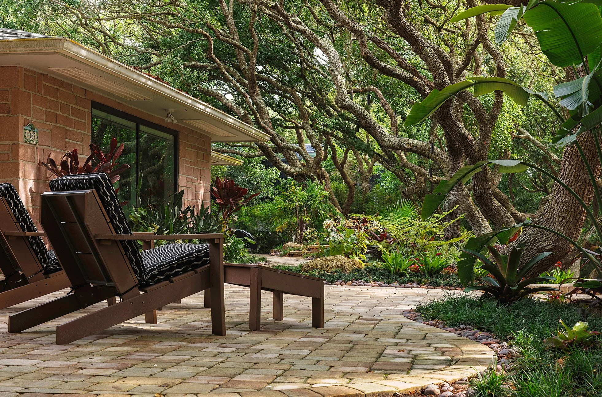 A backyard with outdoor chairs on a brick patio, surrounded by lush green plants and large trees with twisted branches.