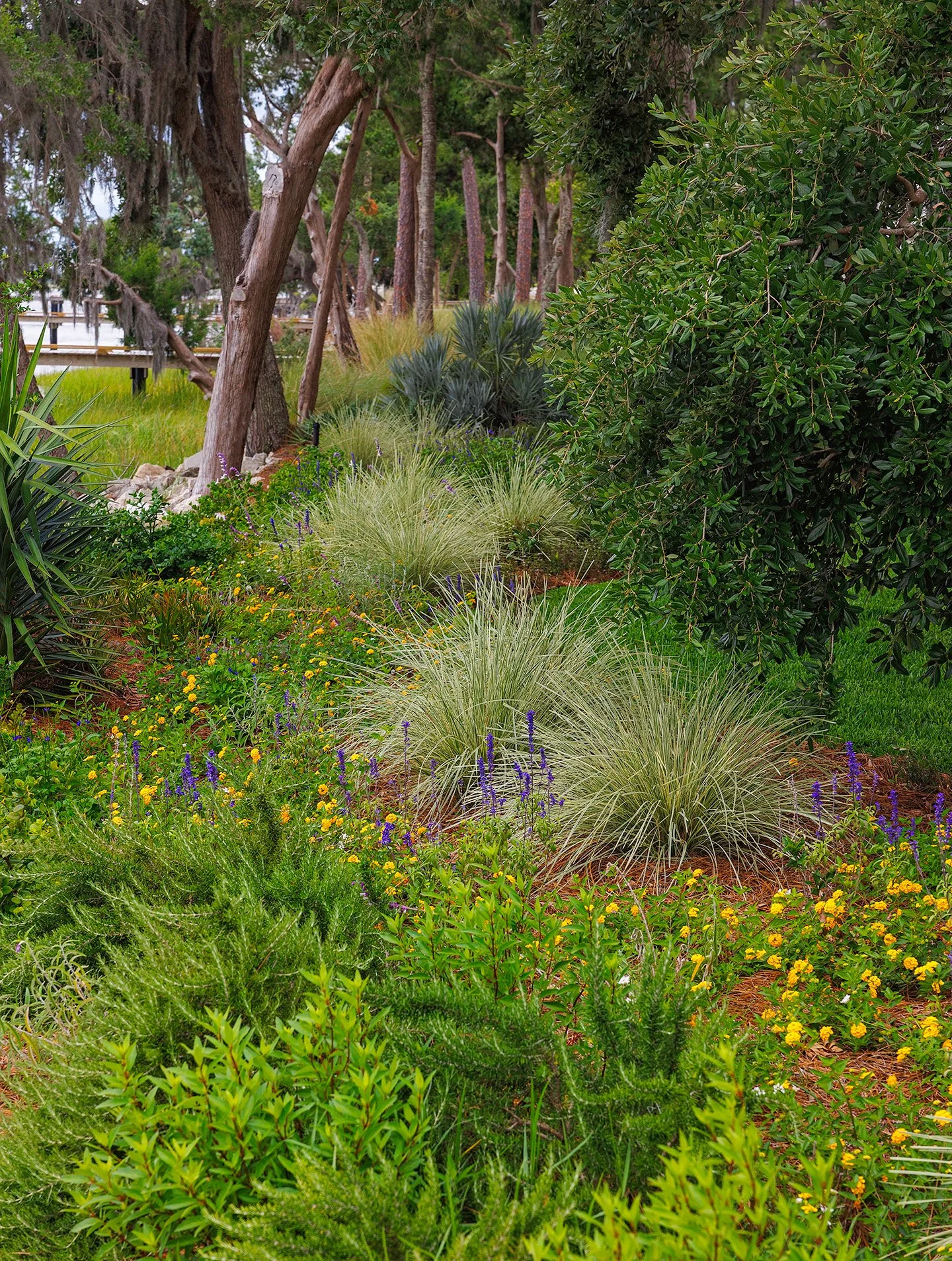 Lush garden with various green plants, bushes, and yellow and purple flowers, alongside trees with thick trunks and green foliage.