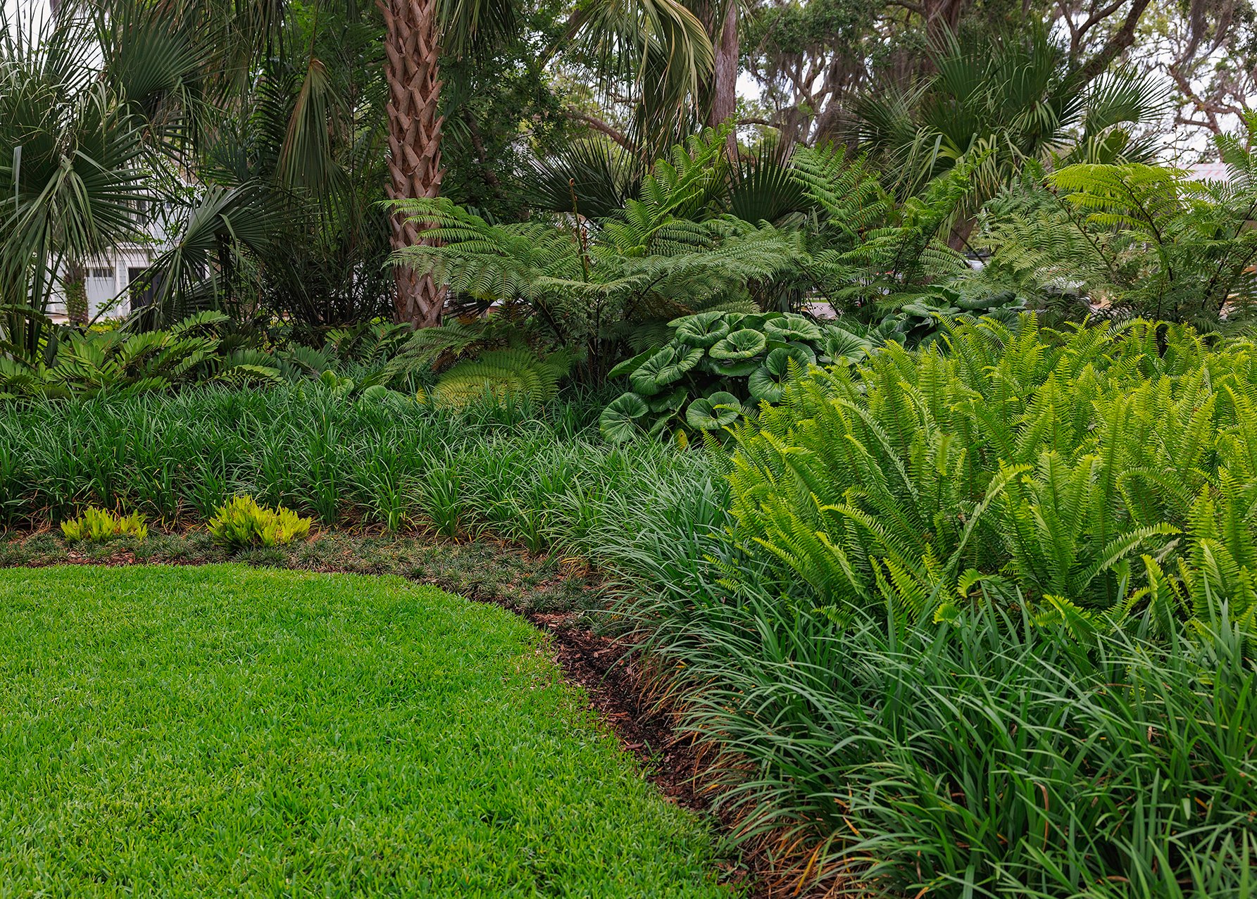 Lush garden with vibrant green grass and various tropical plants, including ferns, large-leafed plants, and palm trees.